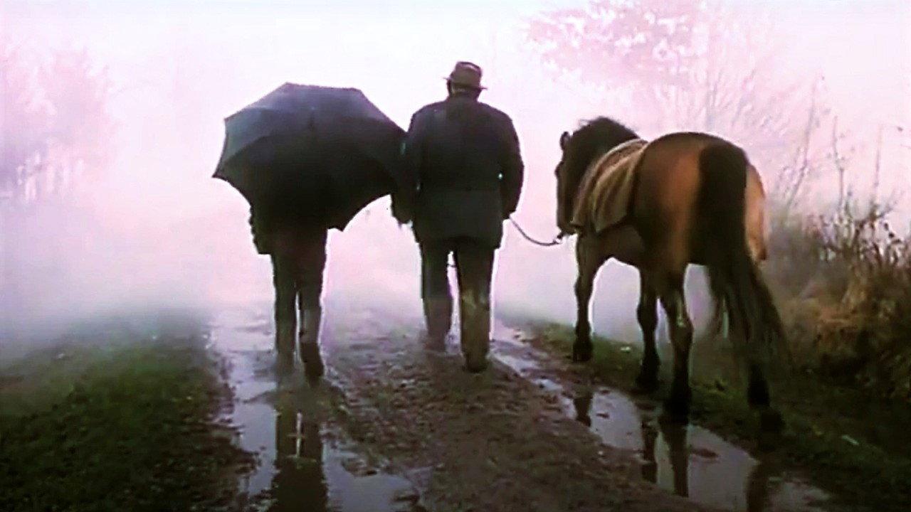 An Event 1969 movie scene