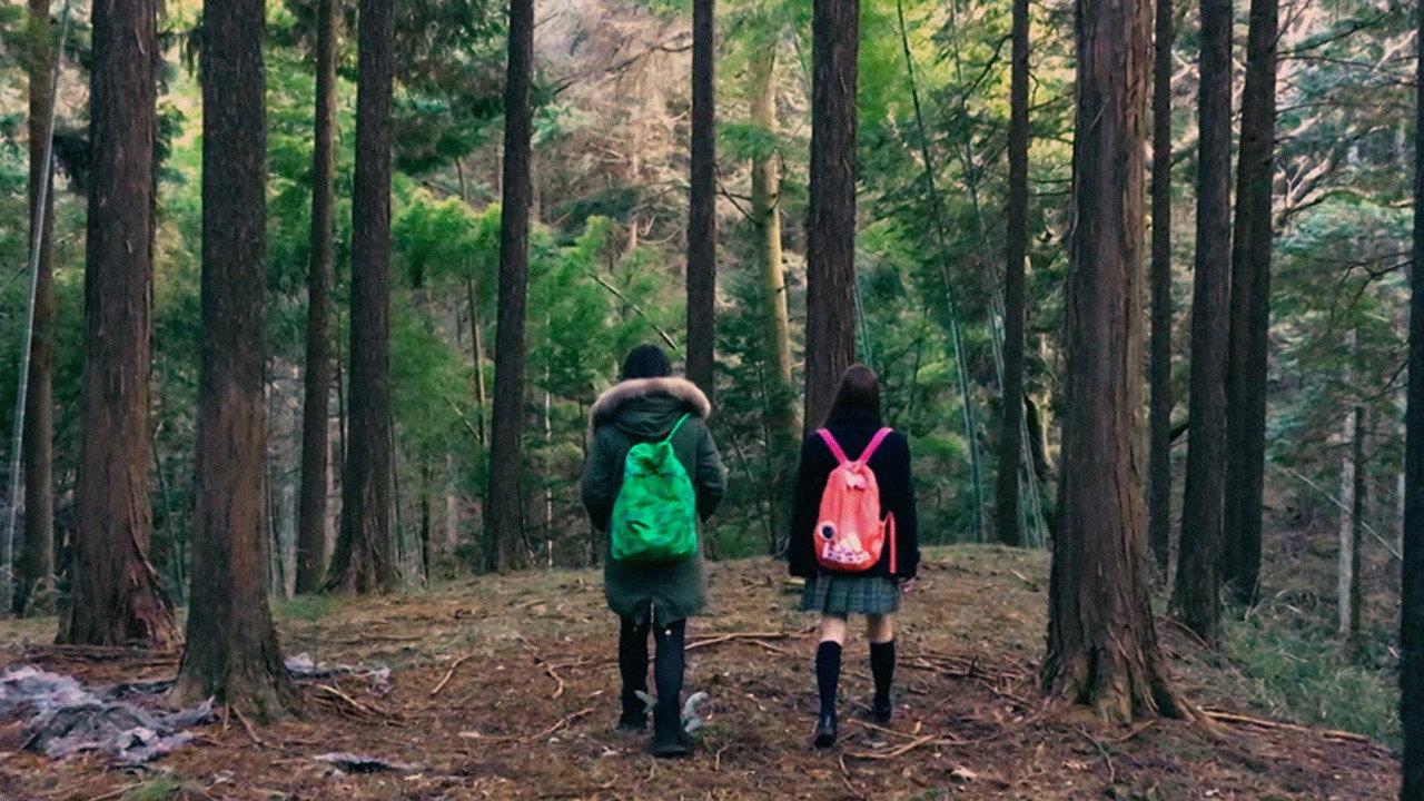 fuji_jukai.mov 2016 movie scene