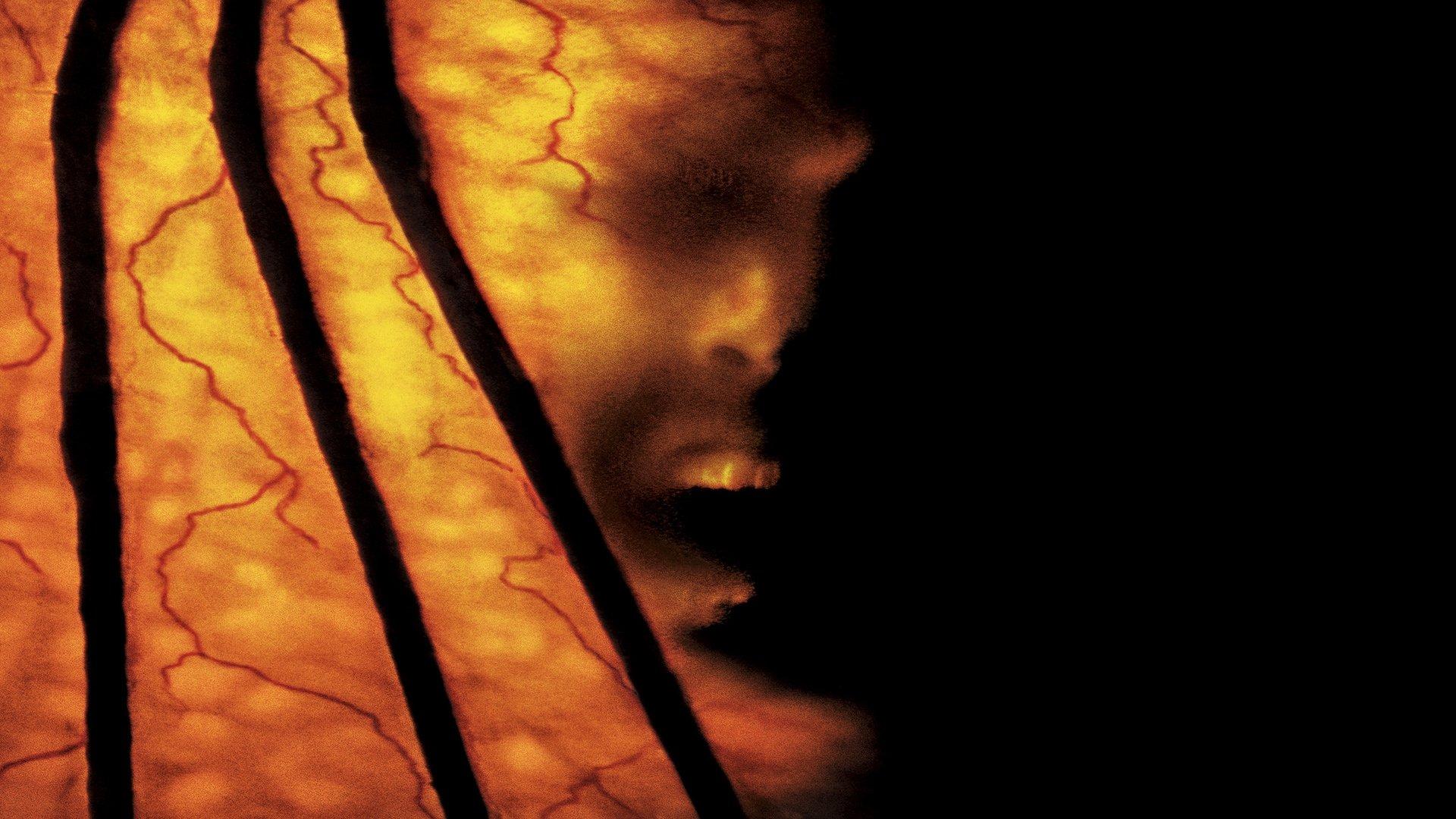 Jeepers Creepers 2 2003 movie scene