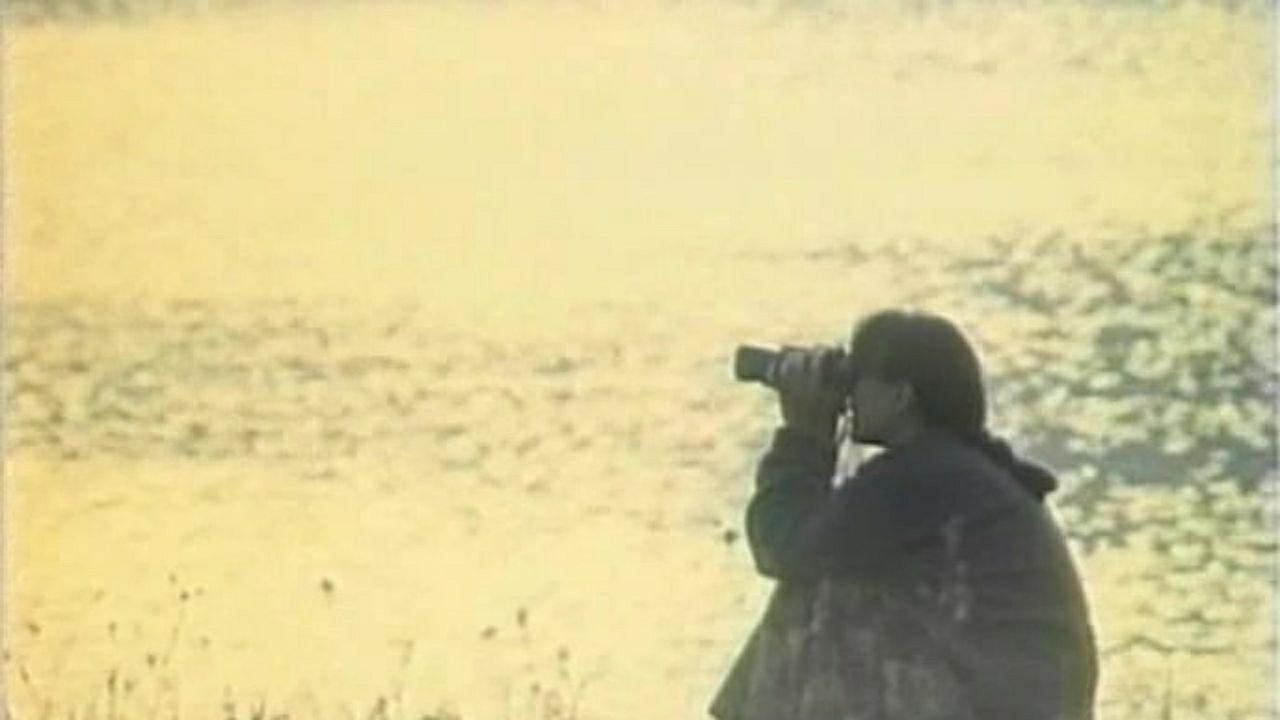 Destiny Boards 1994 movie scene
