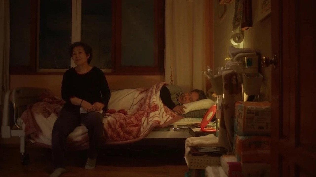 Dear Wolgeum 2026 movie scene