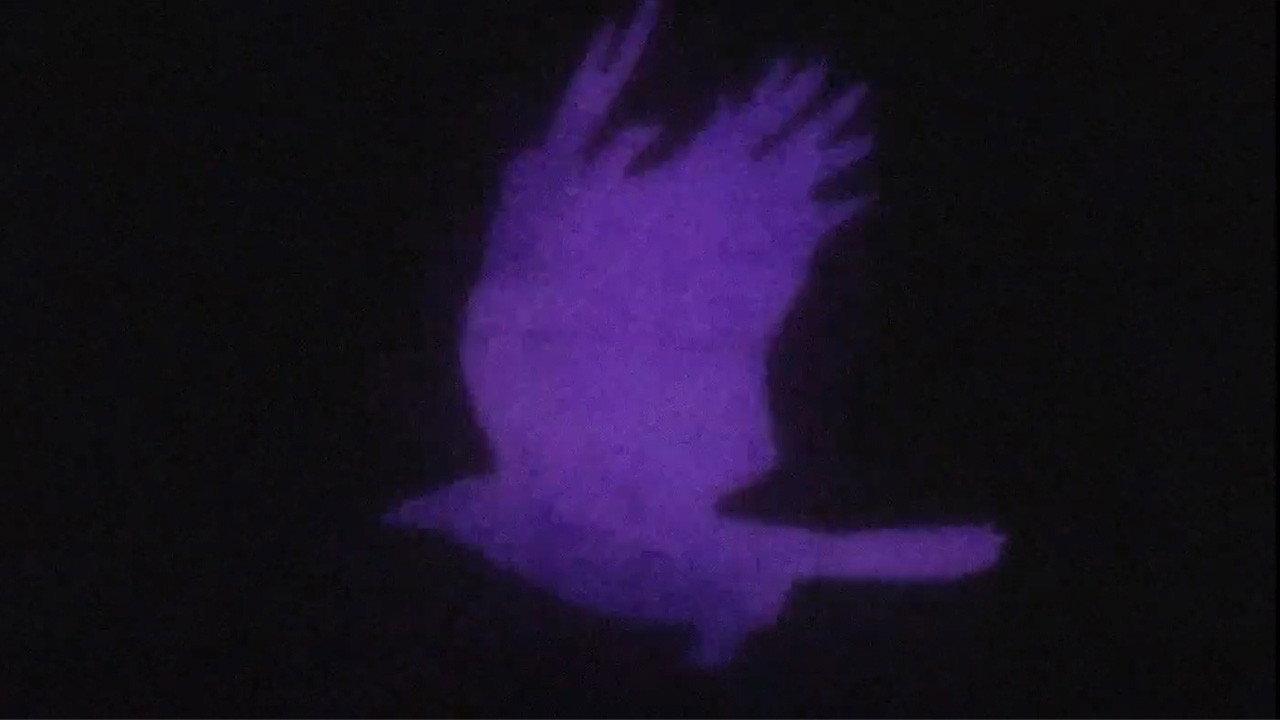 Edgar Allan Poe's The Raven 2023 movie scene
