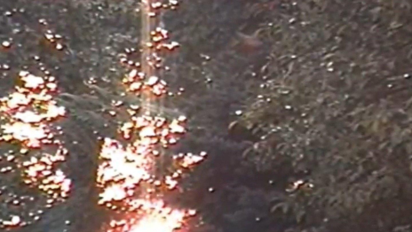 Slaughtered Secretaries 1992 movie scene