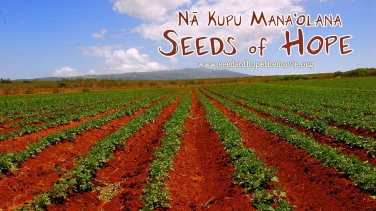 Seeds of Hope 2012 movie scene
