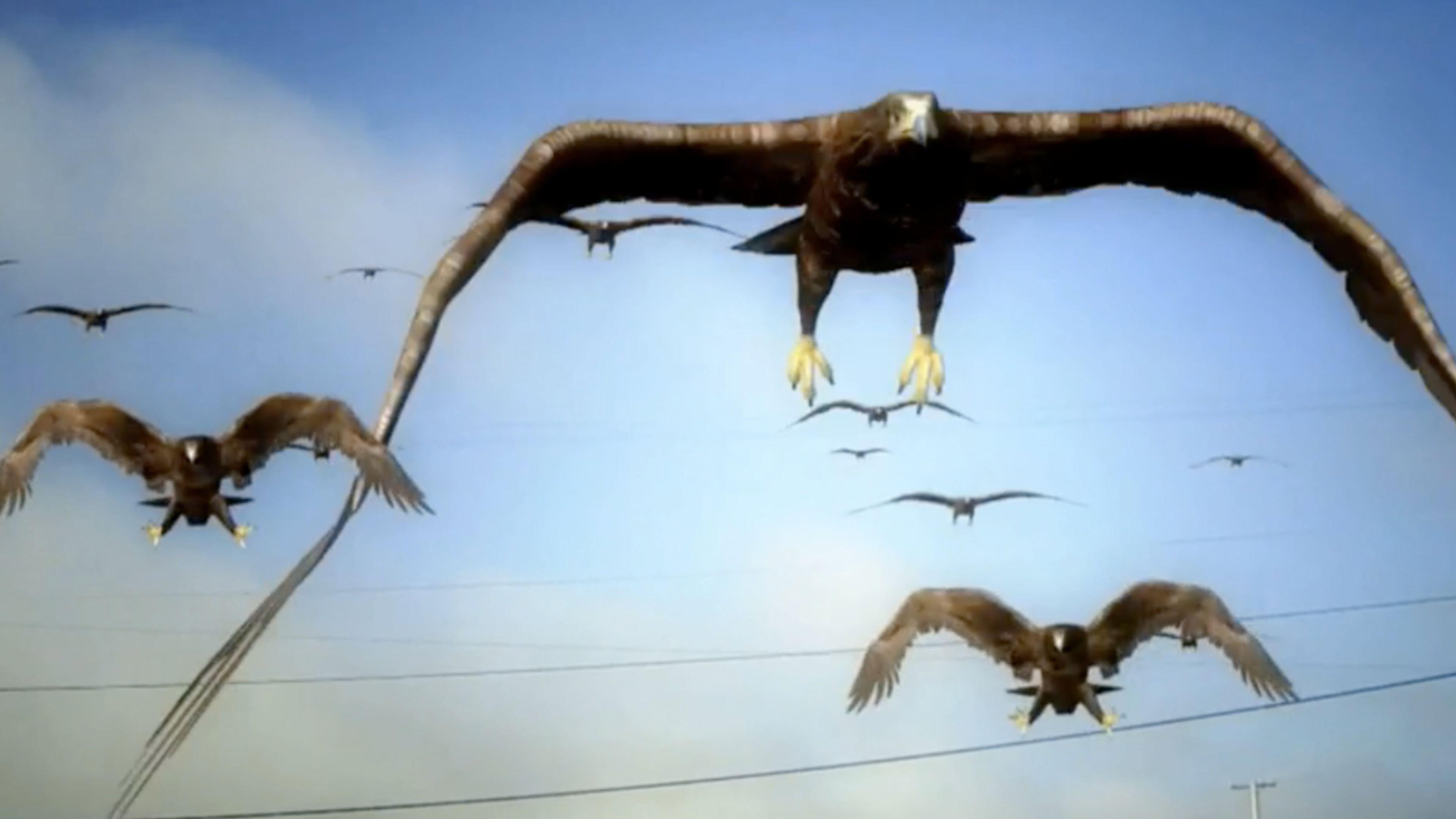 Birdemic : Macron Terror 2026 movie scene
