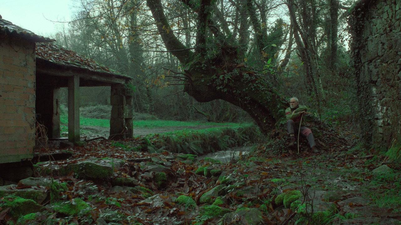 Under the Chestnut Tree 2024 movie scene