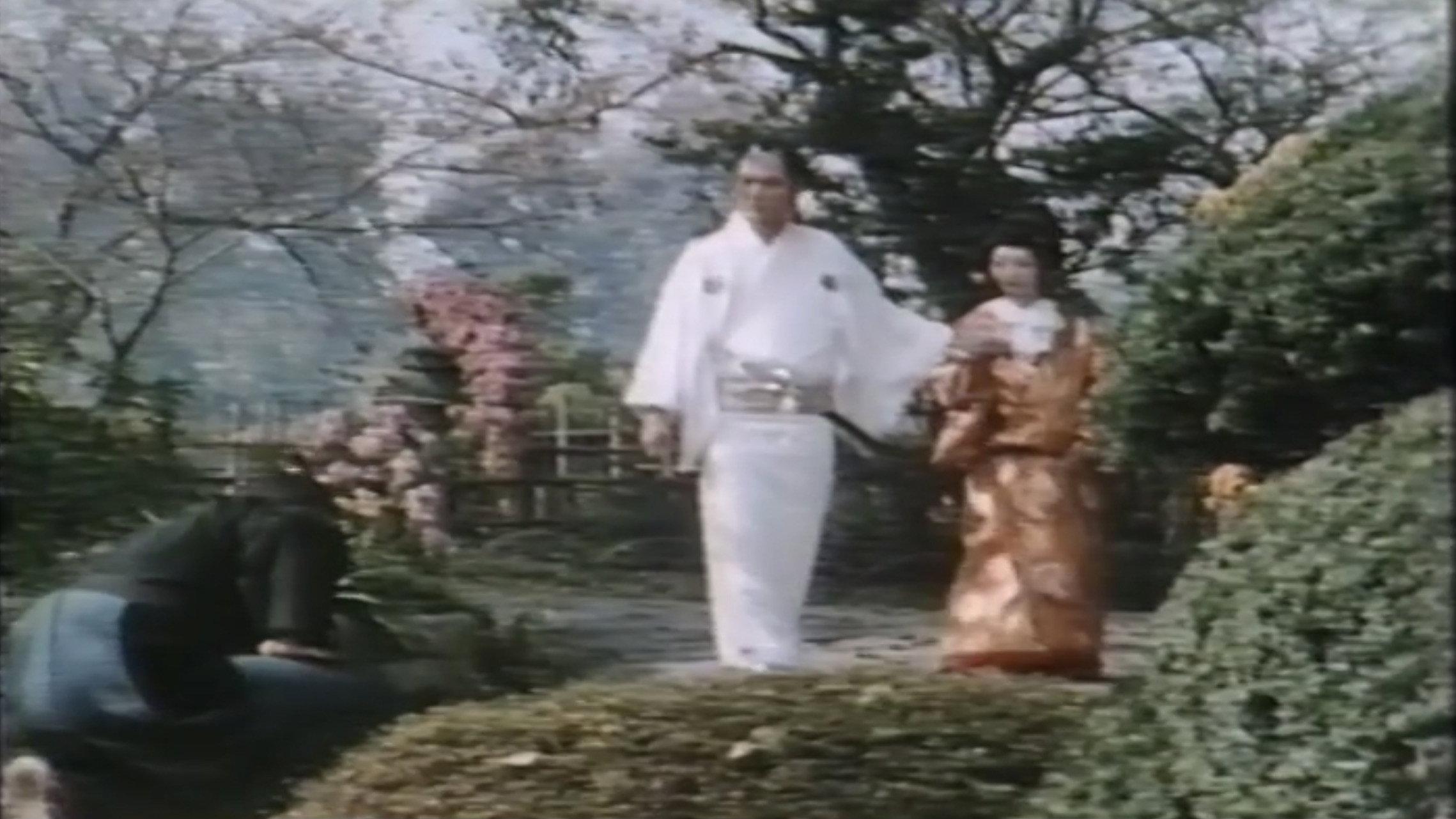 New Eros Schedule Book Concubine Secrets: Flower Storm New Year Sex 1973 movie scene