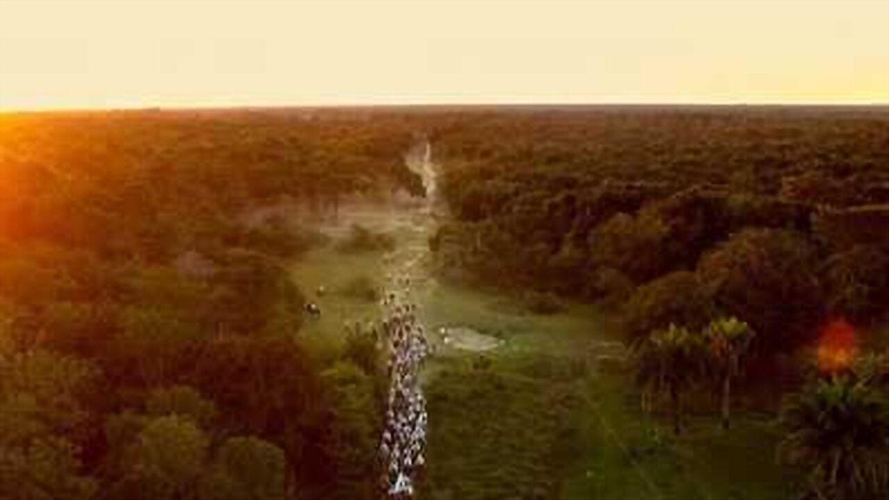 Pantanal: The Good Innocence of Our Origins 2021 movie scene