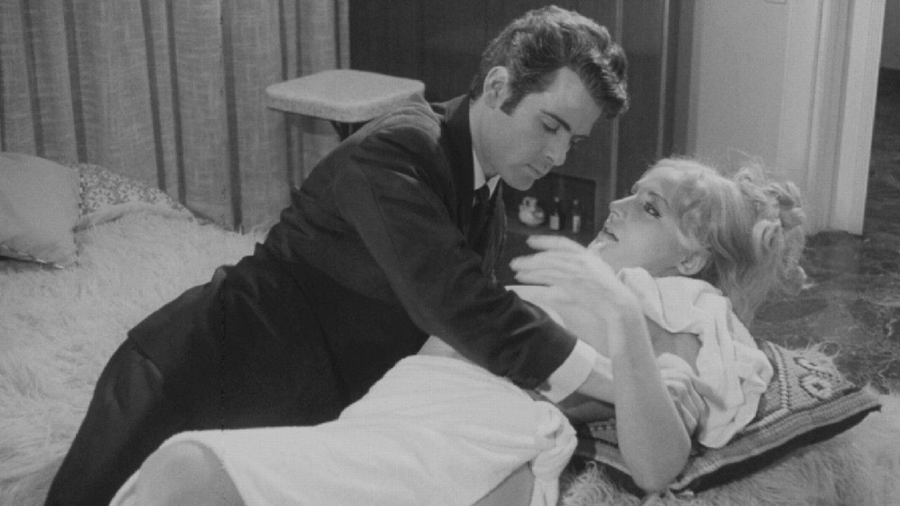 The Wild Pussycat 1969 movie scene
