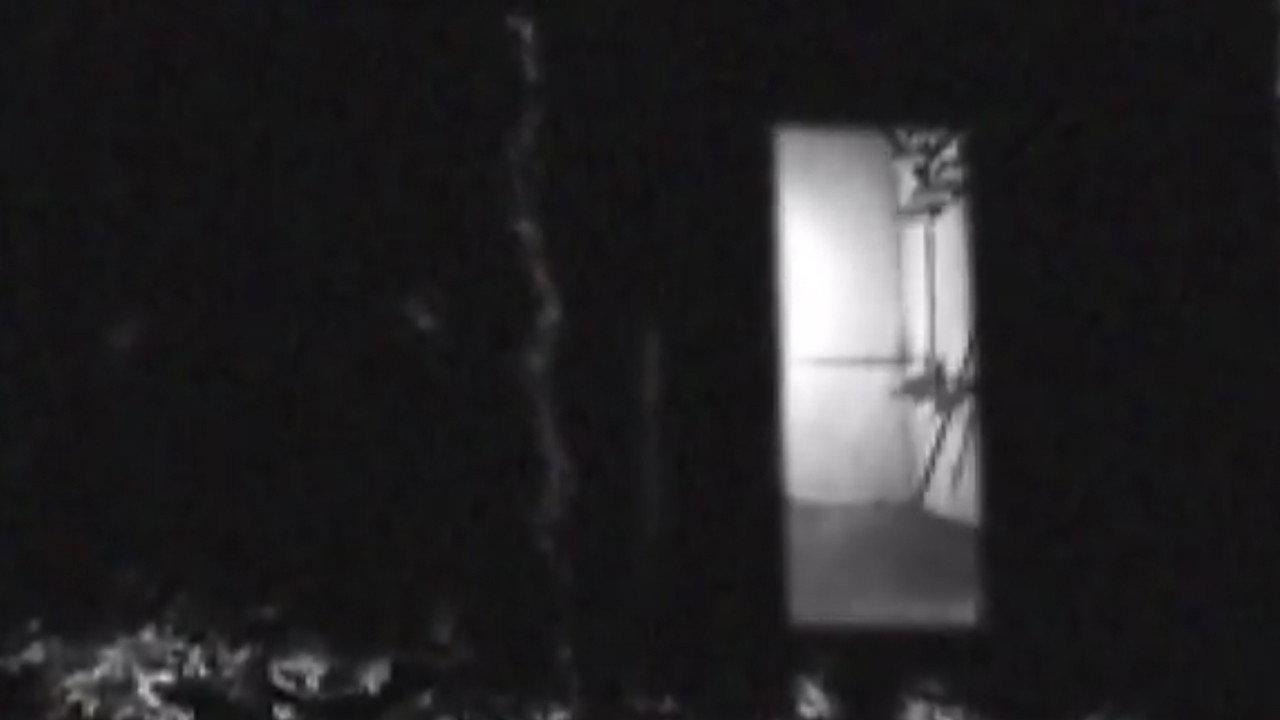 Bug Crawls 2004 movie scene