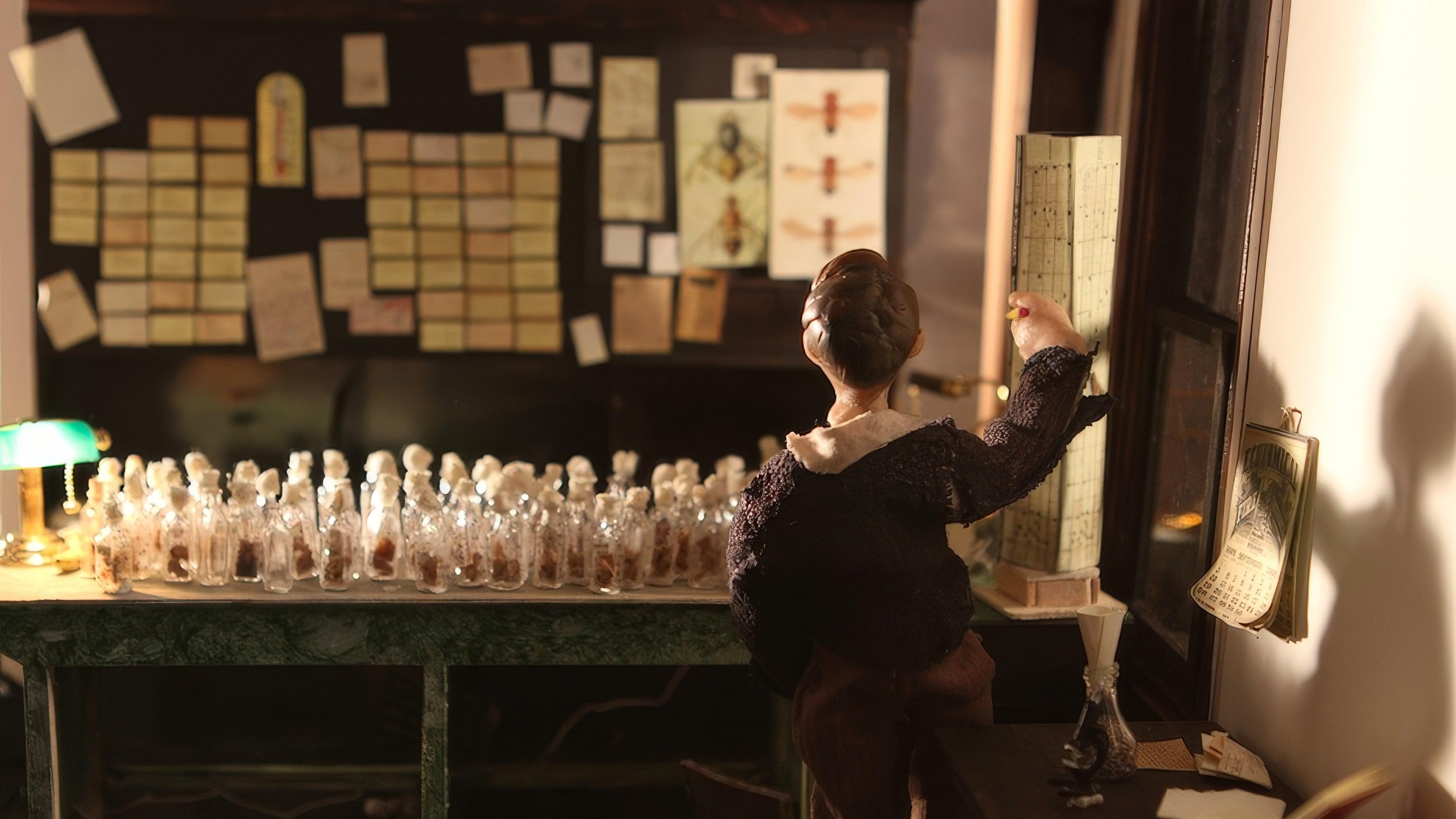 The Fly Room 2014 movie scene