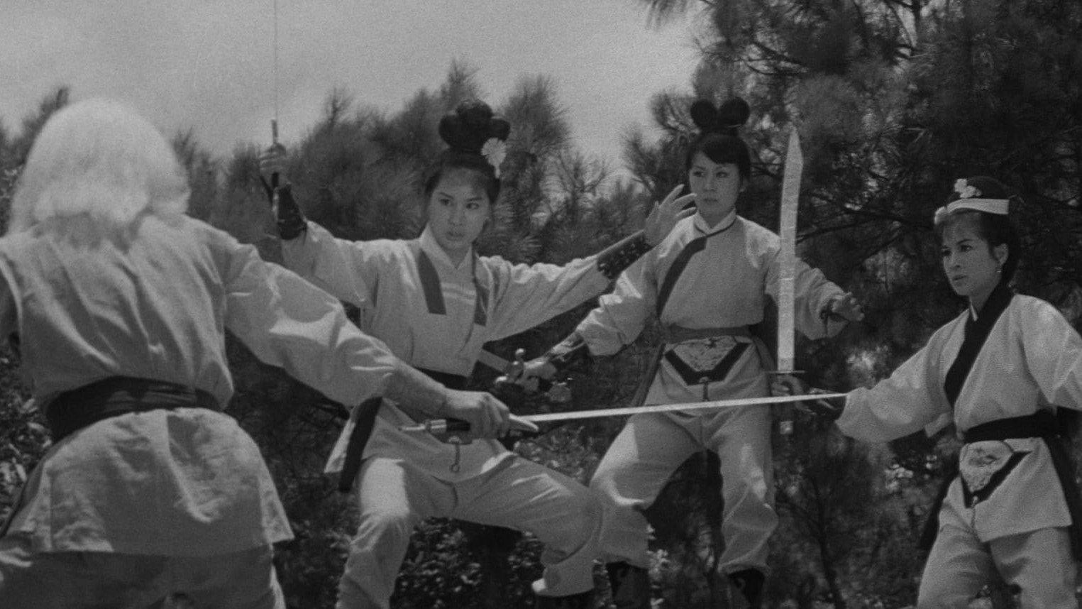 Vengeance of the Phoenix Sisters 1968 movie scene