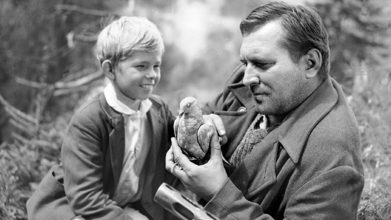 The Song of the Grey Pigeon 1961 movie scene