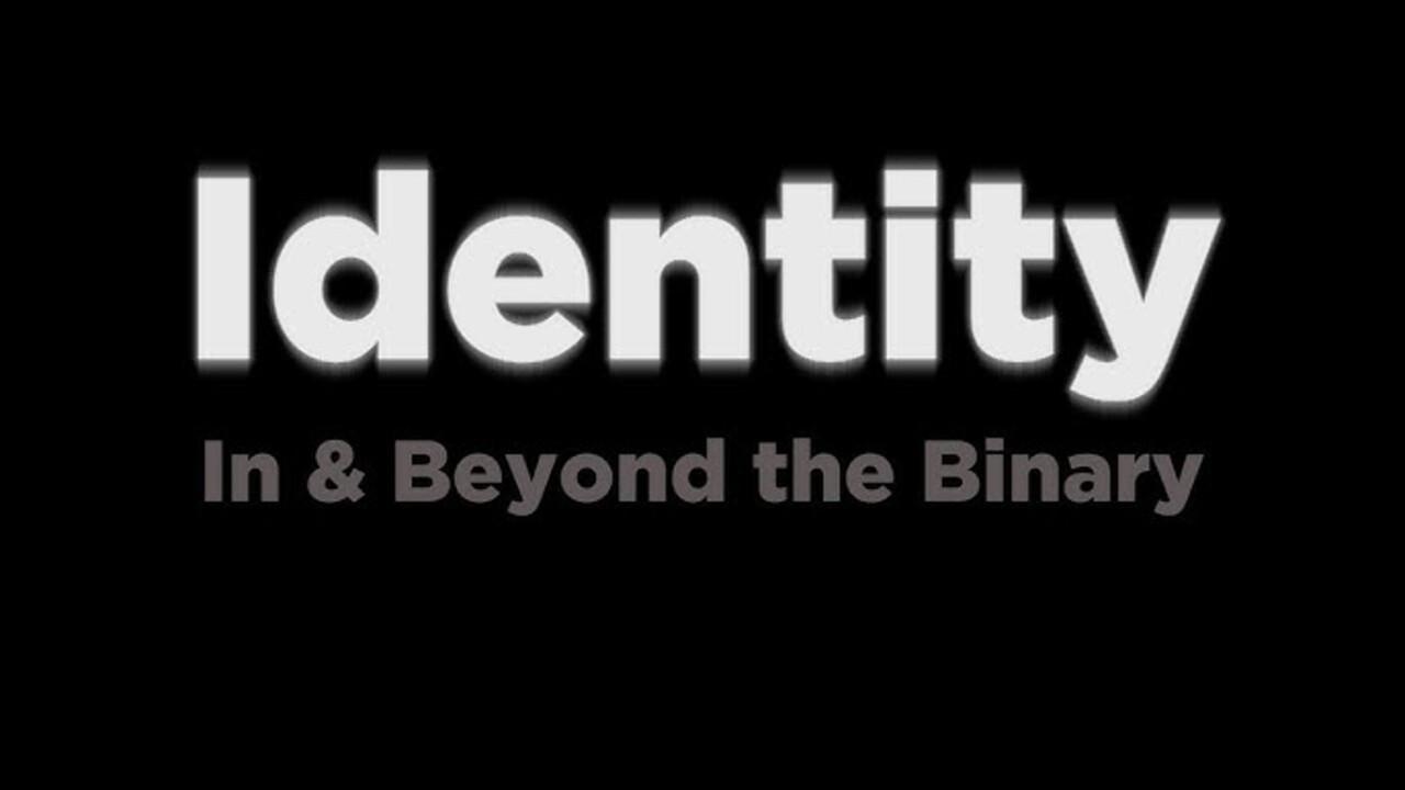 Identity: In and Beyond the Binary  movie scene