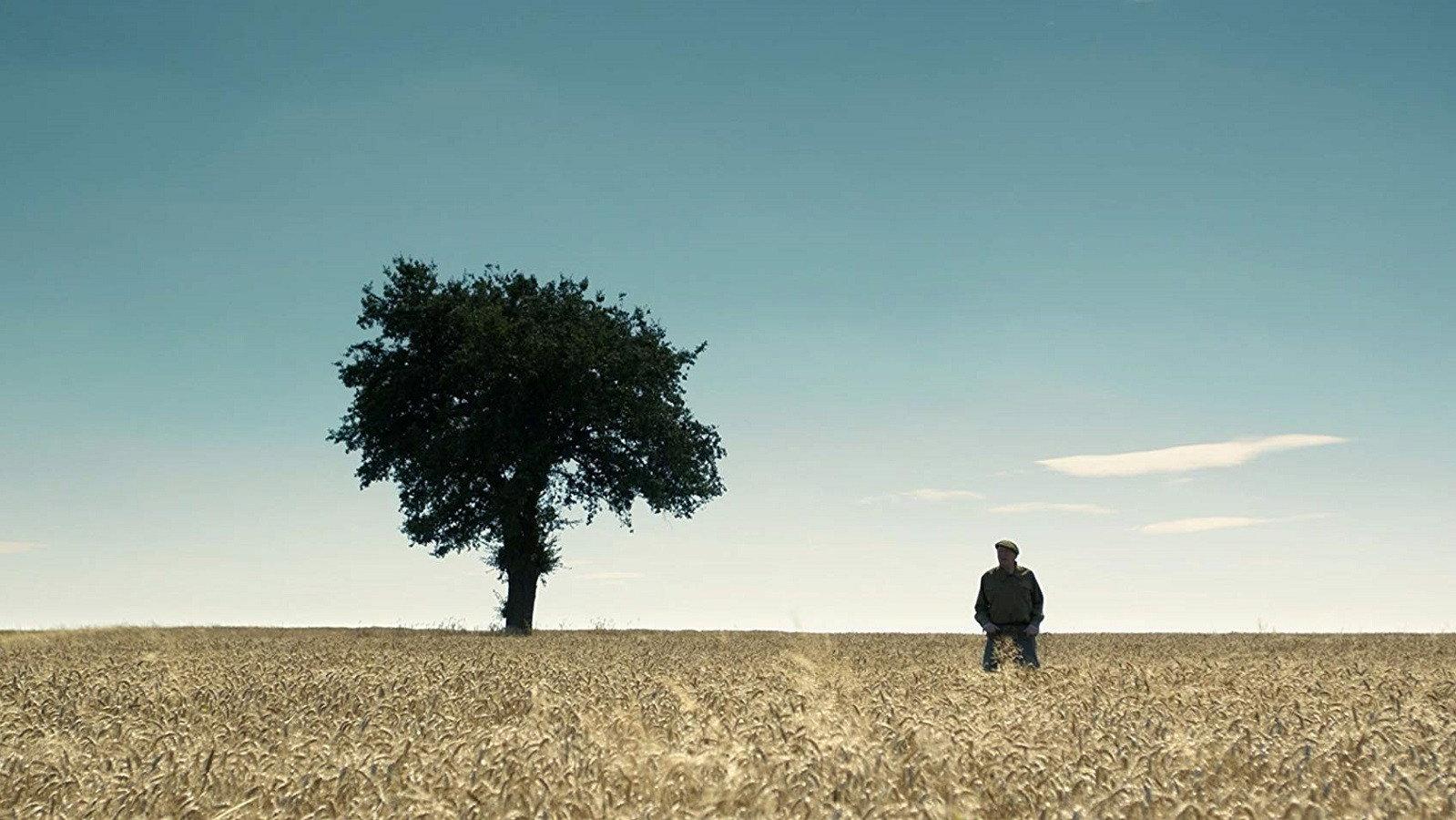 Okna, okna 2018 movie scene