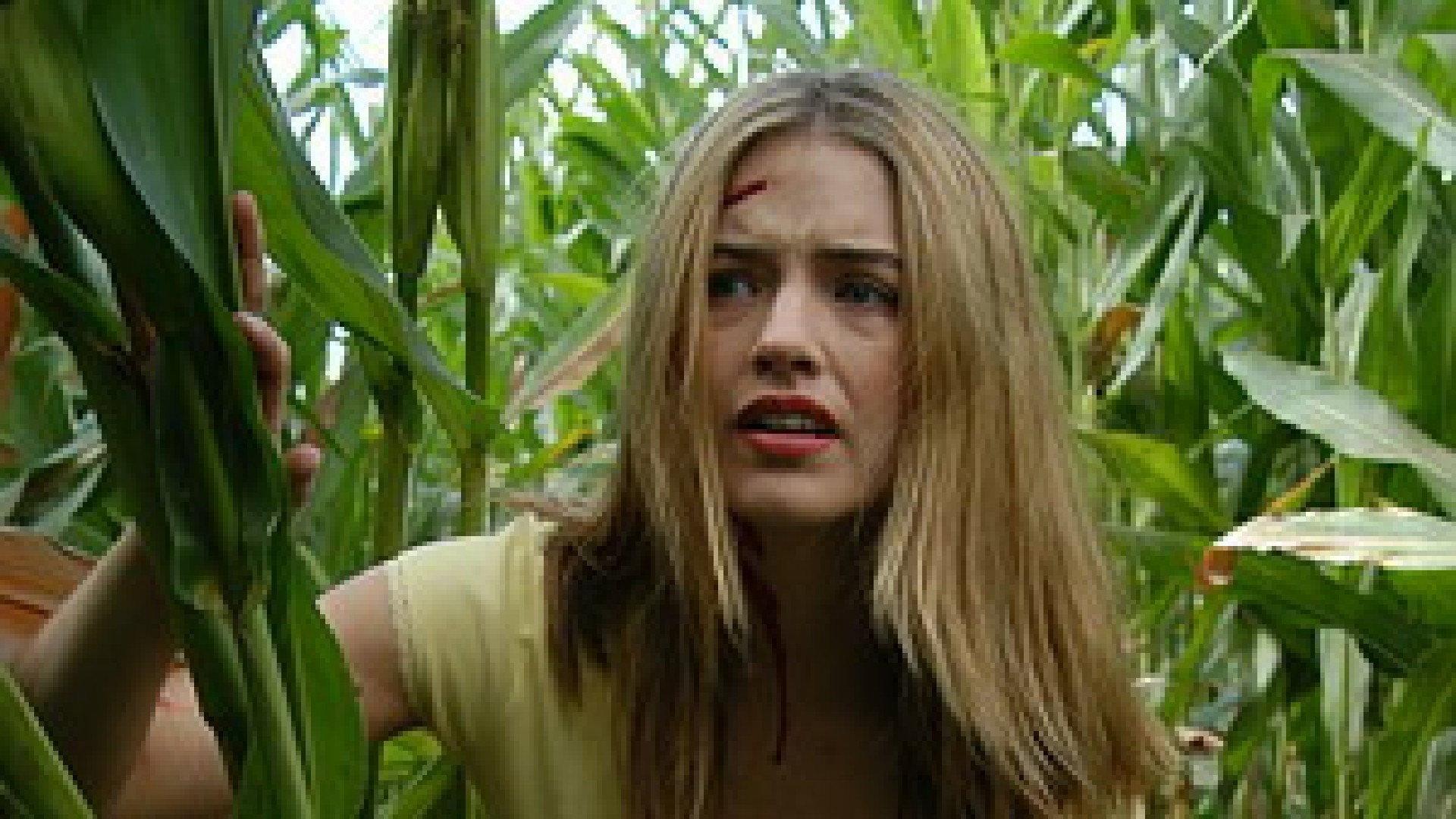 Scarecrow Gone Wild 2004 movie scene