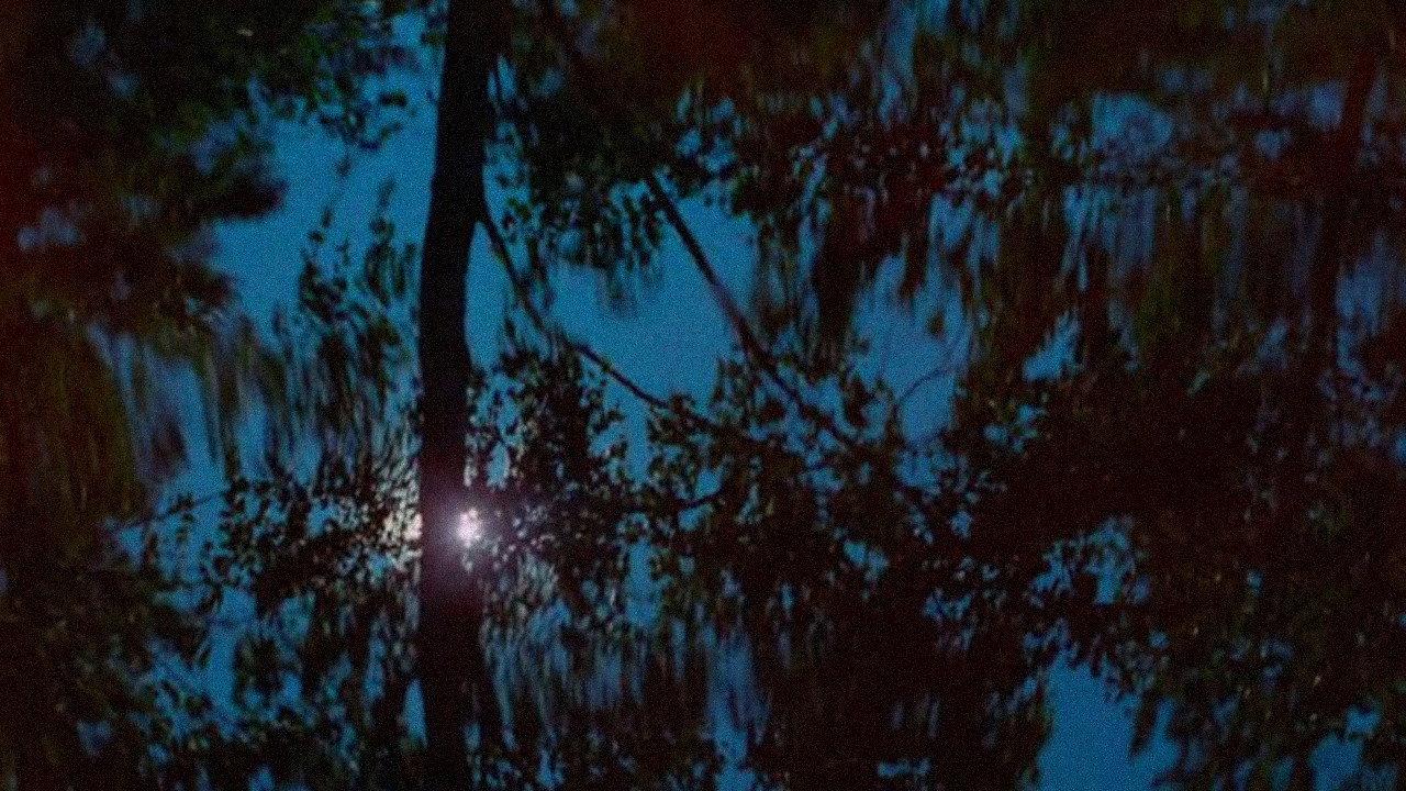 Shudders 1965 movie scene