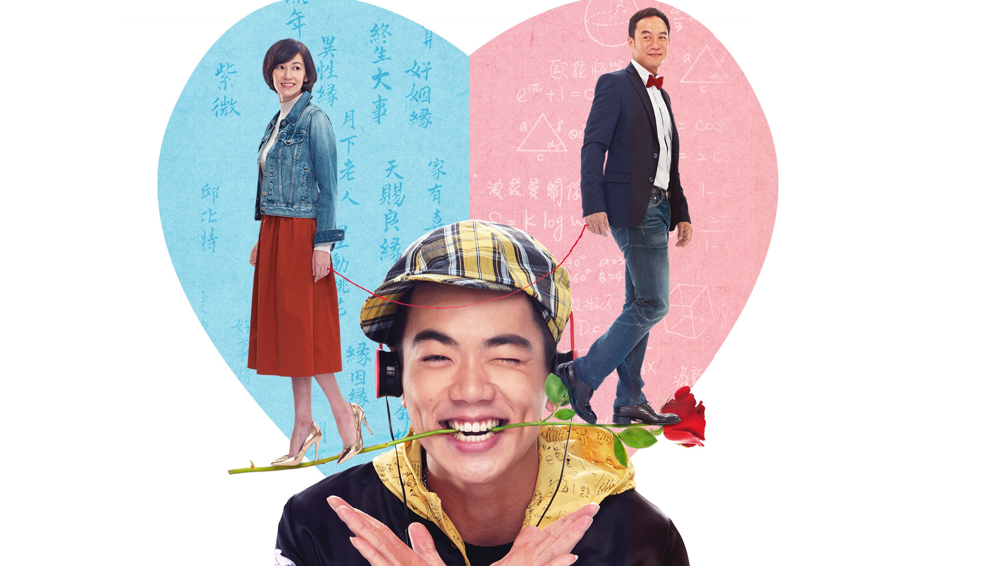When Miracle Meets Maths 2015 movie scene