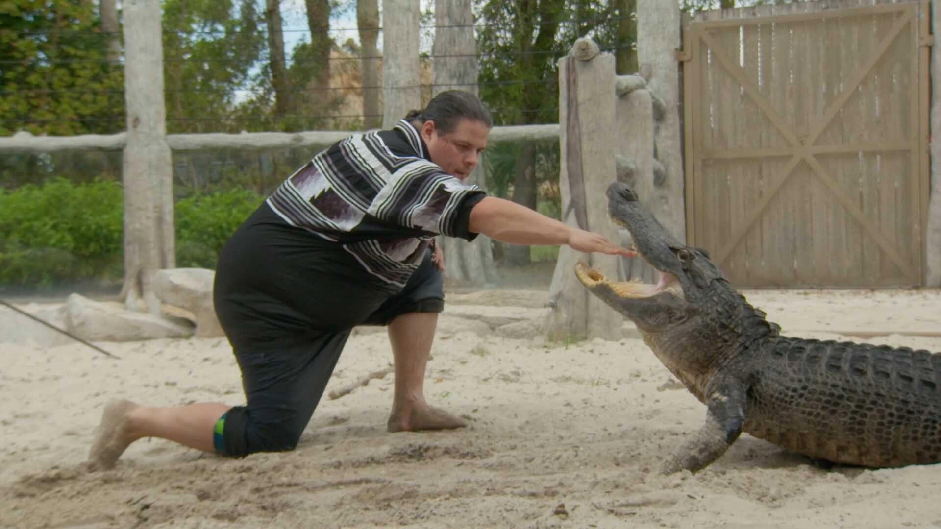 Halpate 2020 movie scene