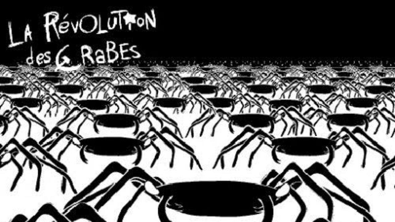 The Revolution of the Crabs 2004 movie scene