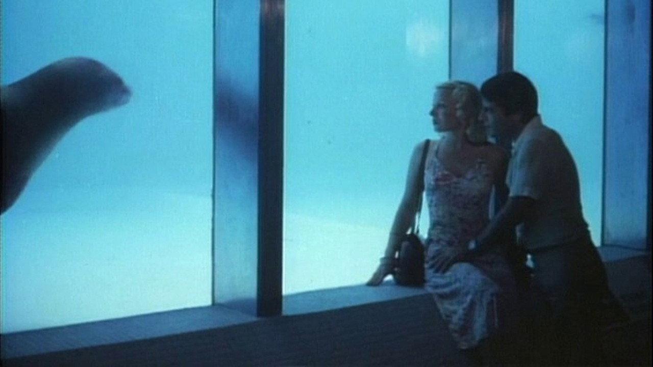Love in Hong Kong 1983 movie scene