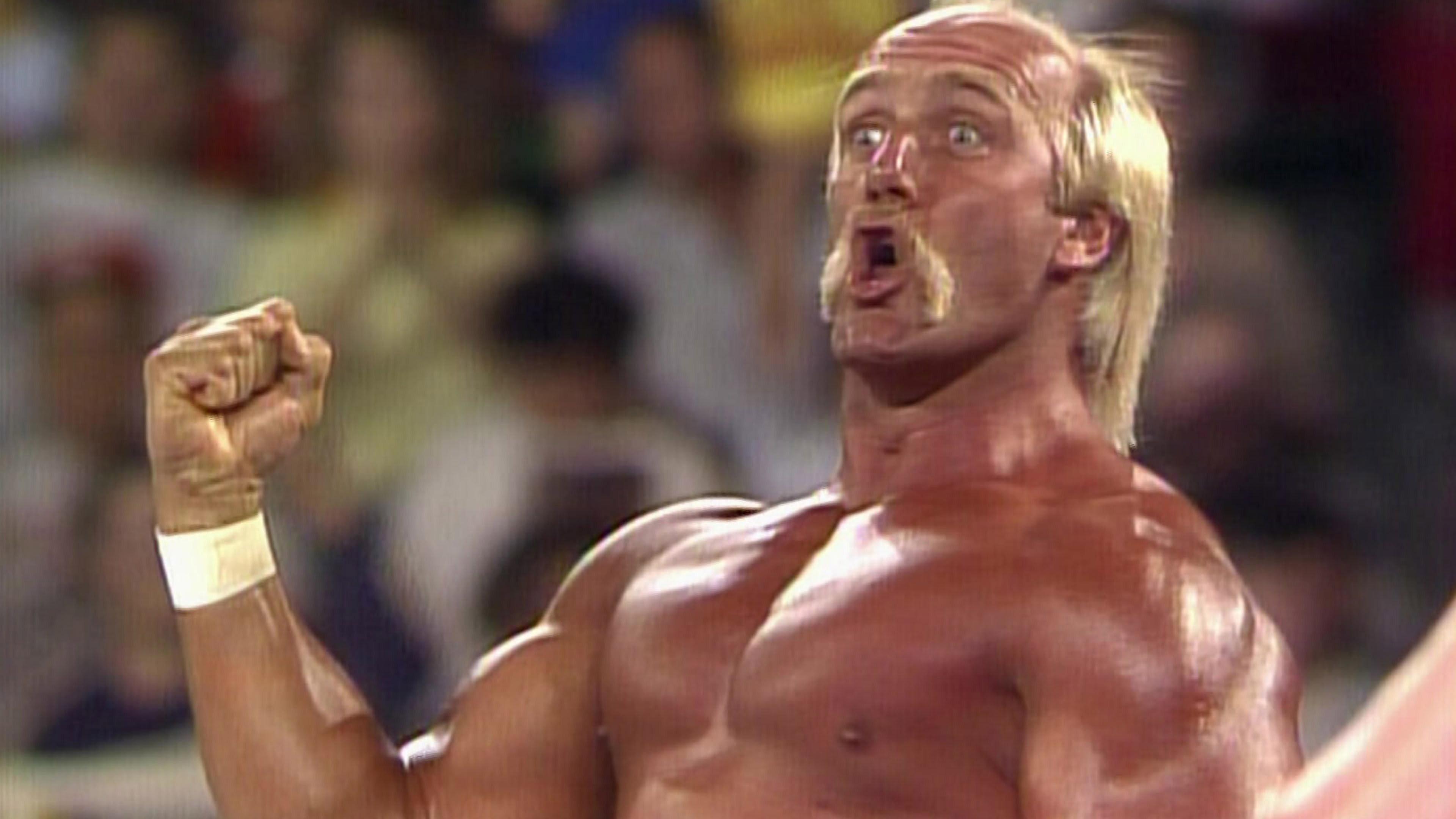 WWE Greatest Hits 1991 movie scene