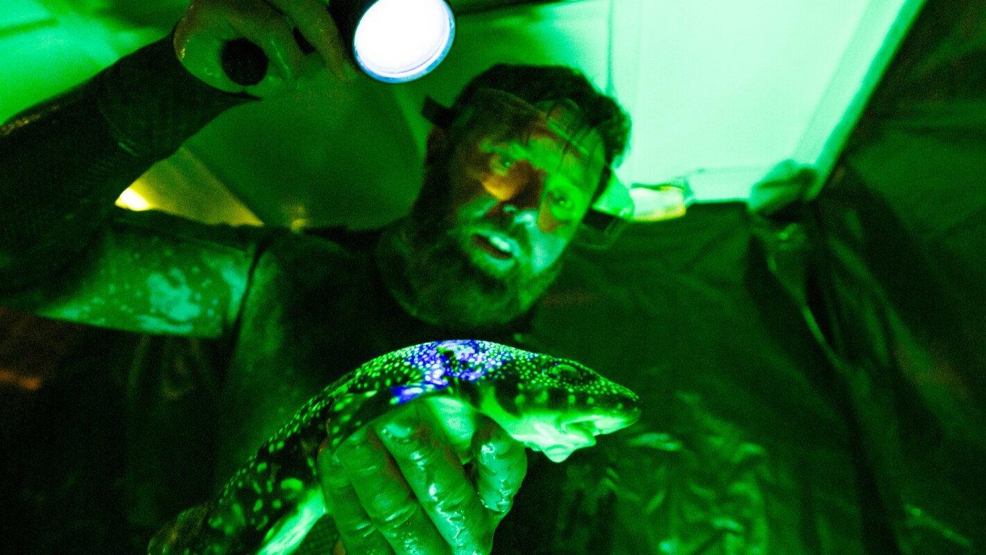 Alien Sharks: Strange New Worlds 2023 movie scene