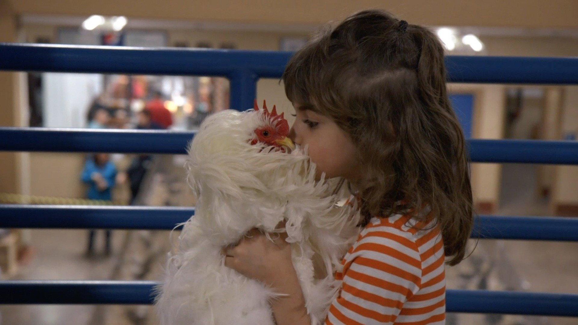Chicken People 2016 movie scene
