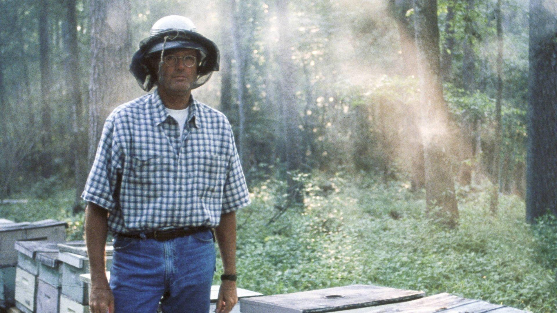 Ulee's Gold 1997 movie scene