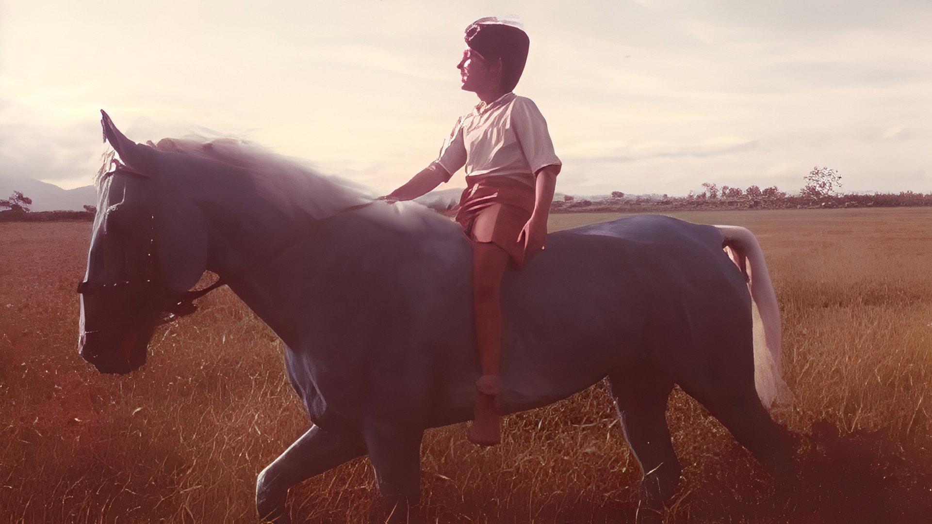 The Blue Horse 1984 movie scene