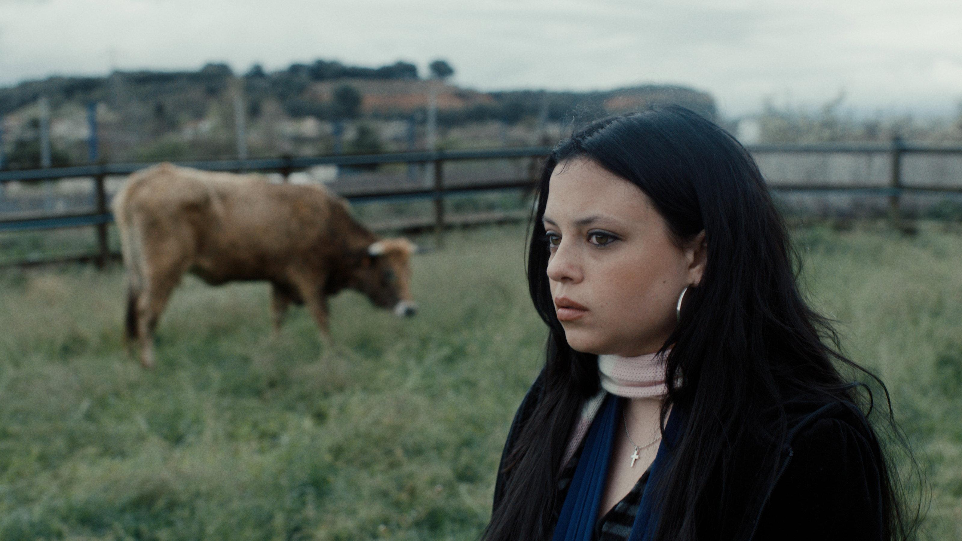 Me, You and the Cow 2026 movie scene