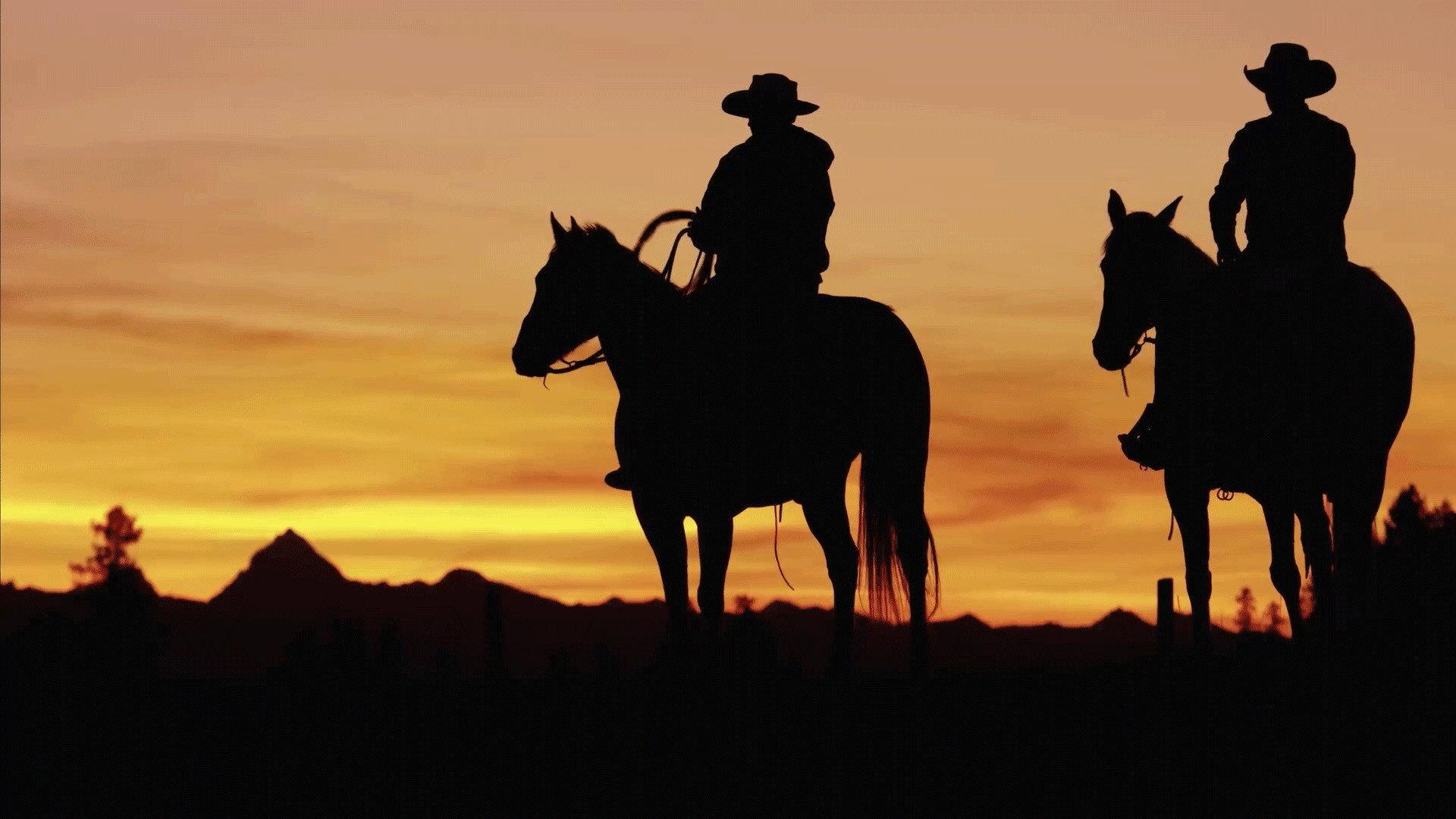 The Cowboy 1951 movie scene