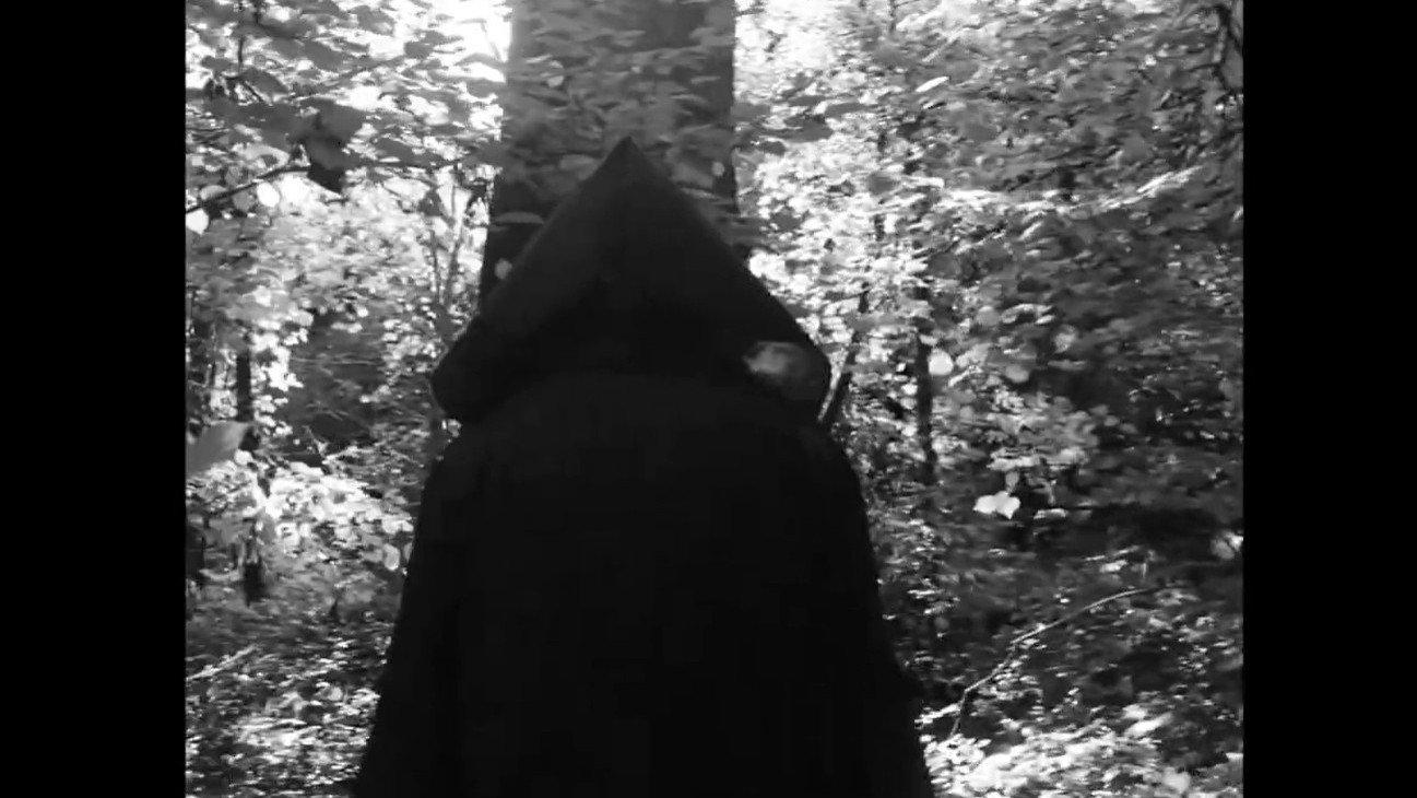 Echo of The Woods 2024 movie scene