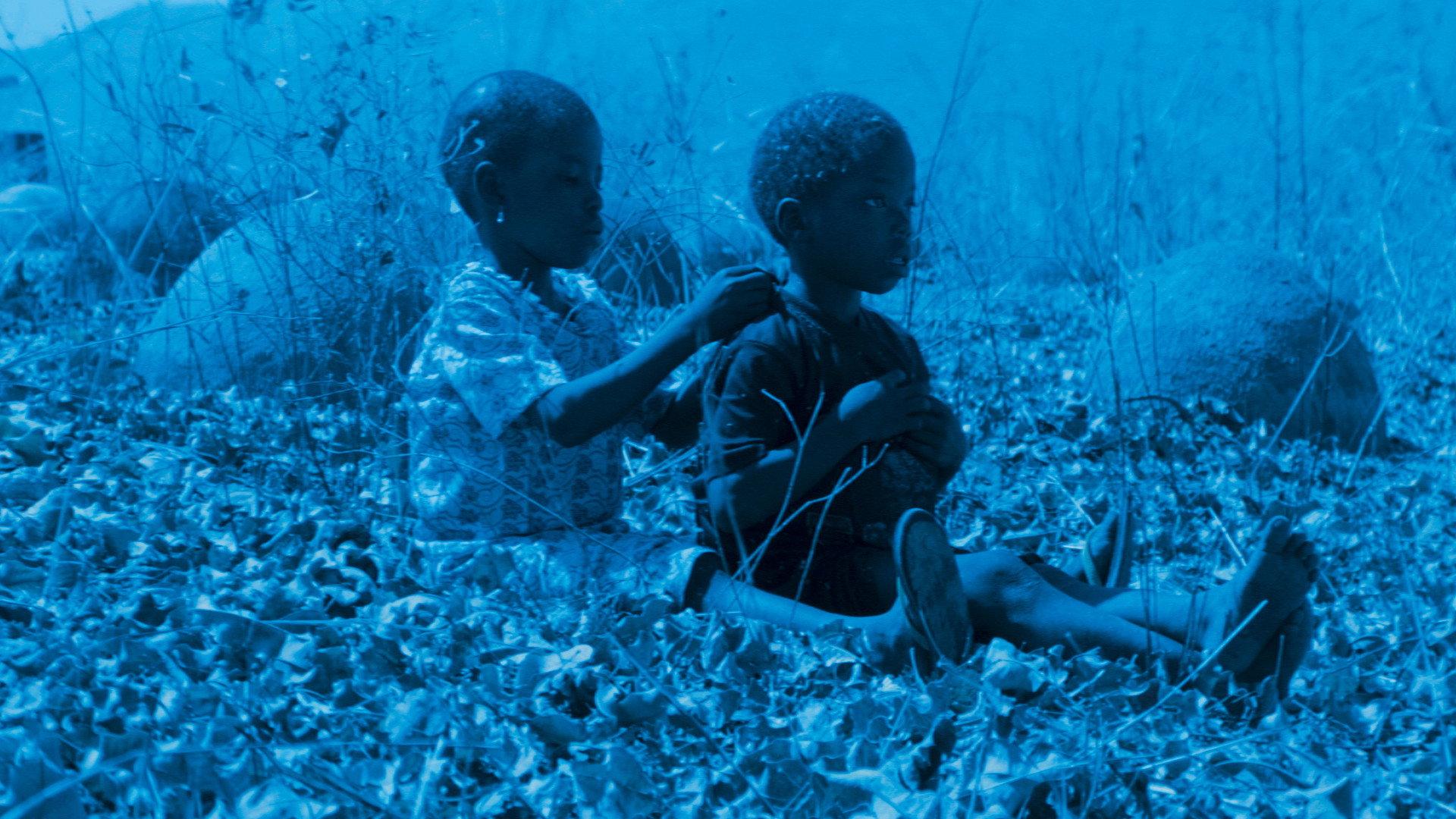 Blue Bird 2011 movie scene