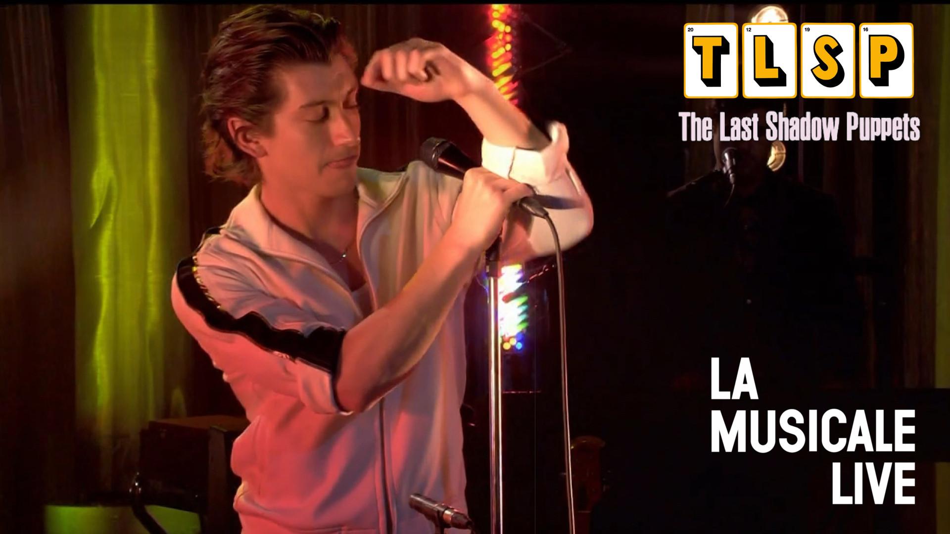 The Last Shadow Puppets - La Musicale 2016 movie scene