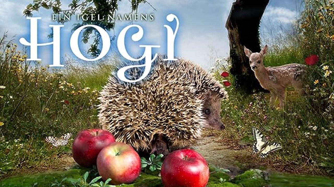 Hogi's Family 2011 movie scene