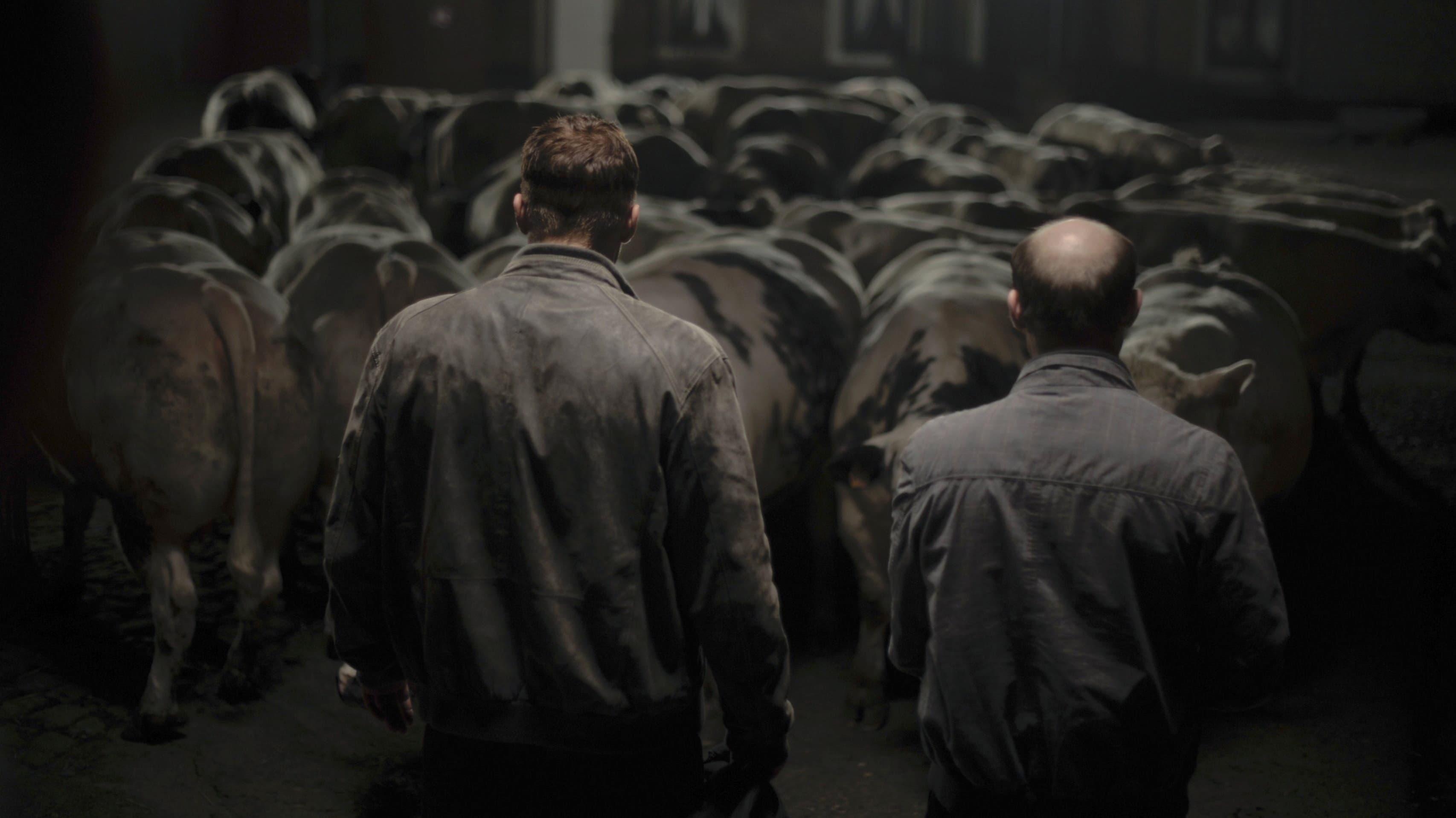 Bullhead 2011 movie scene