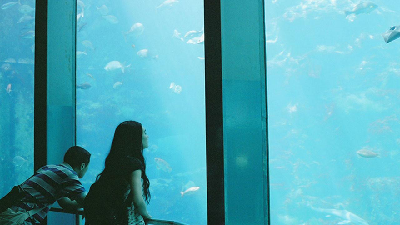 A Song I Remember 2011 movie scene