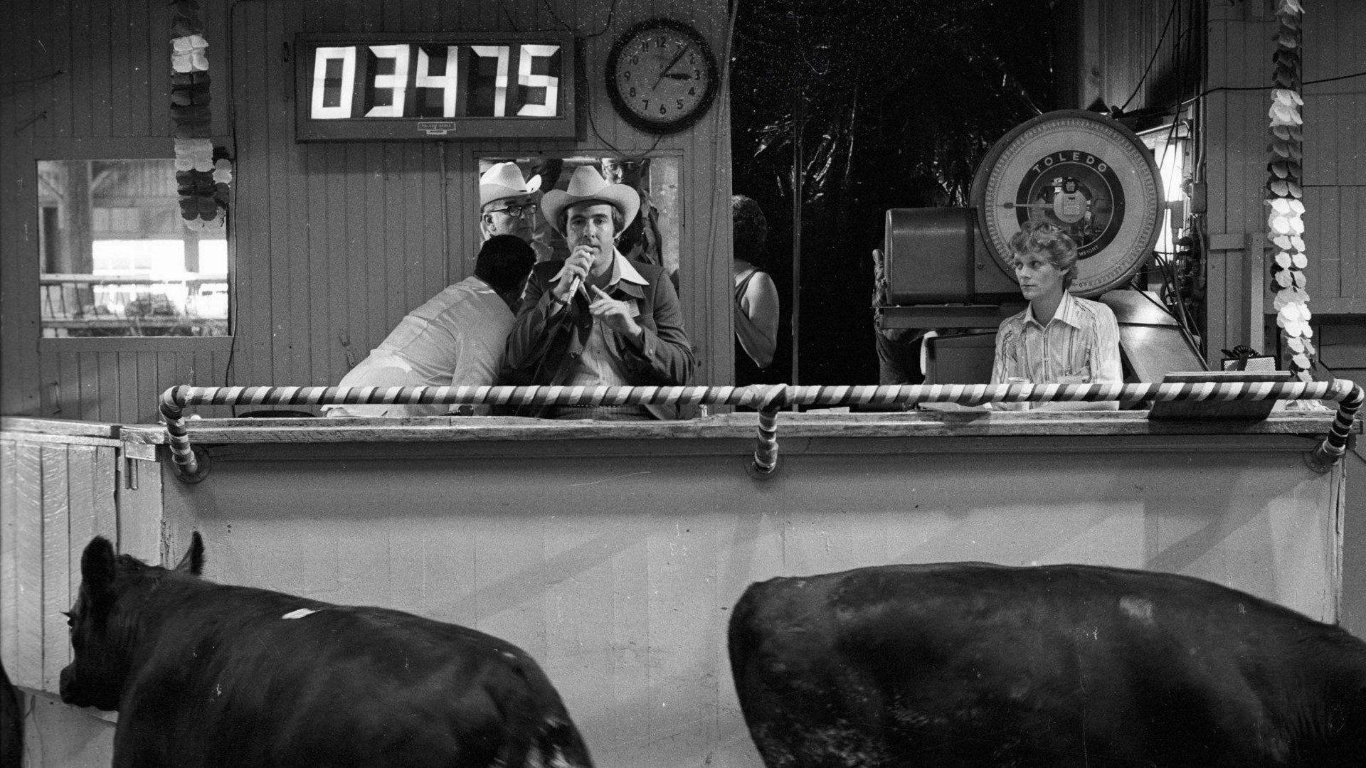 How Much Wood Would a Woodchuck Chuck 1976 movie scene
