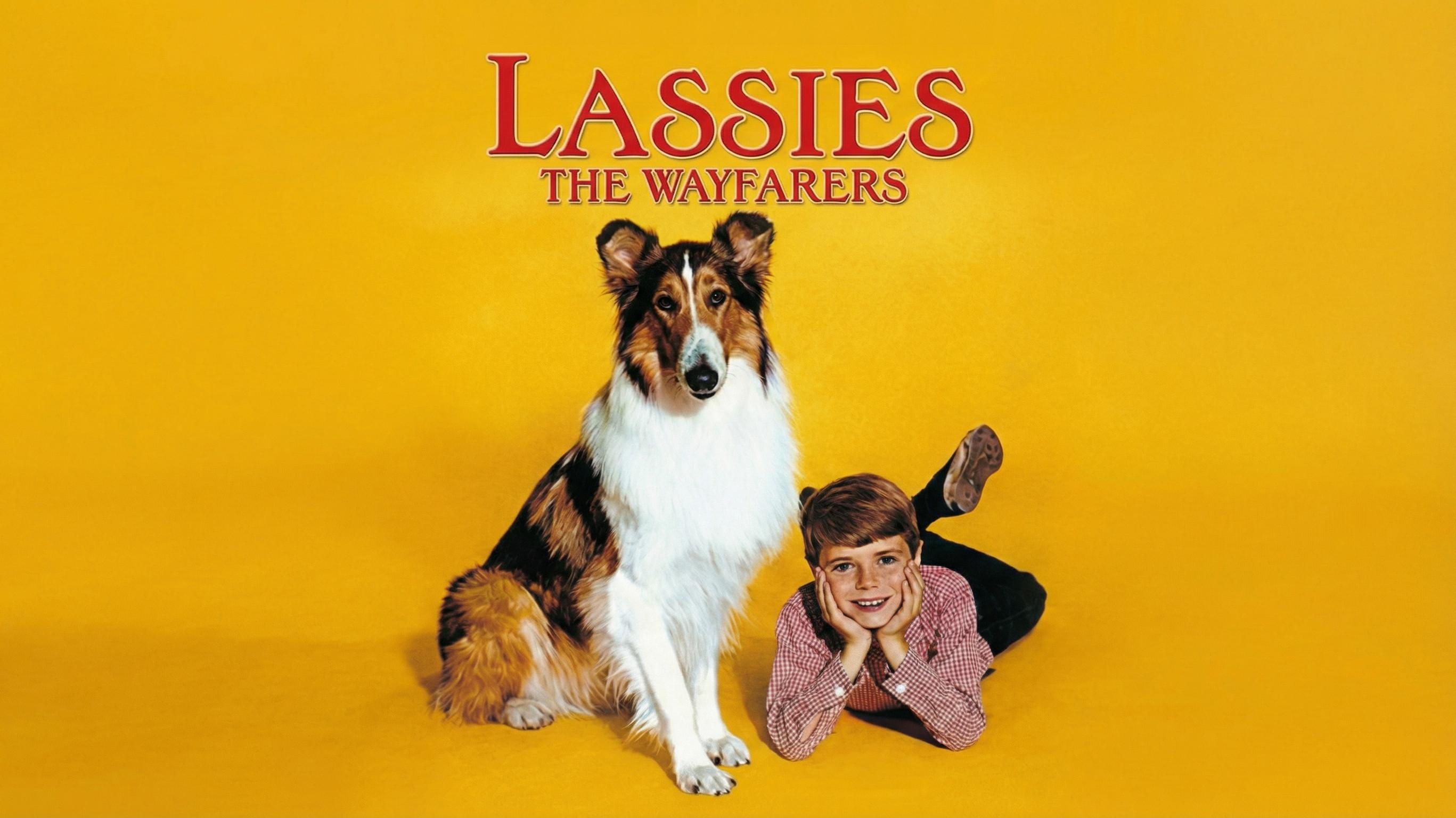 Lassie: The Wayfarers 1964 movie scene