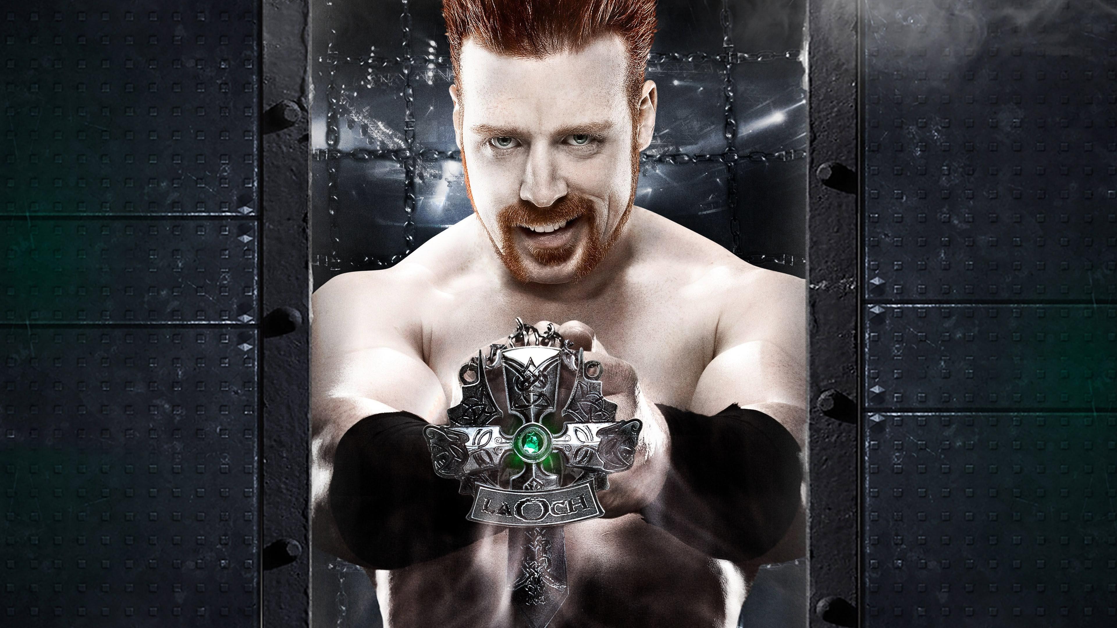 WWE Elimination Chamber 2012 2012 movie scene