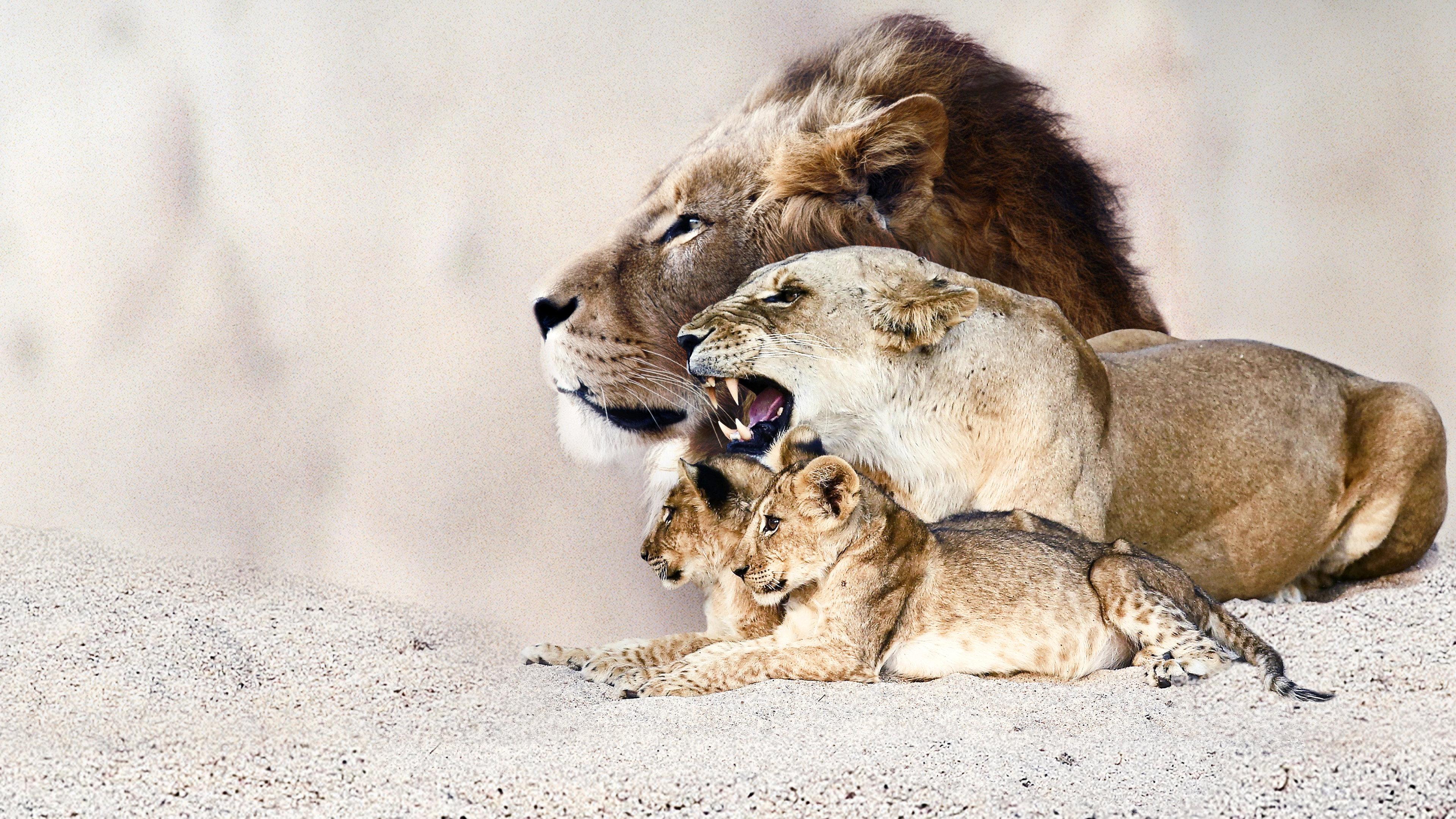 Lion Dynasty 2021 movie scene