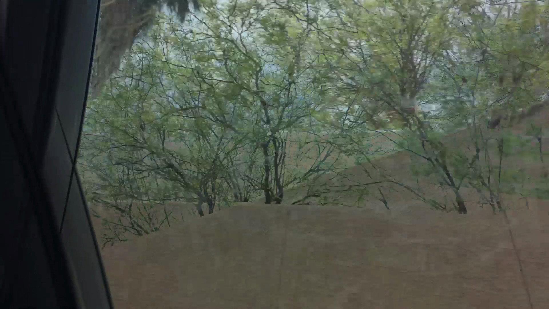Aridity Enclosure 1 2017 movie scene