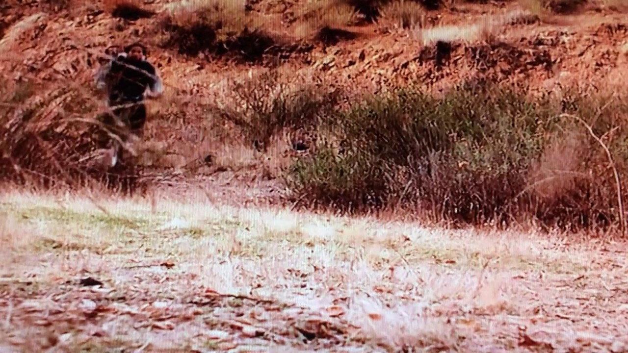 Hollywood Safari 1997 movie scene