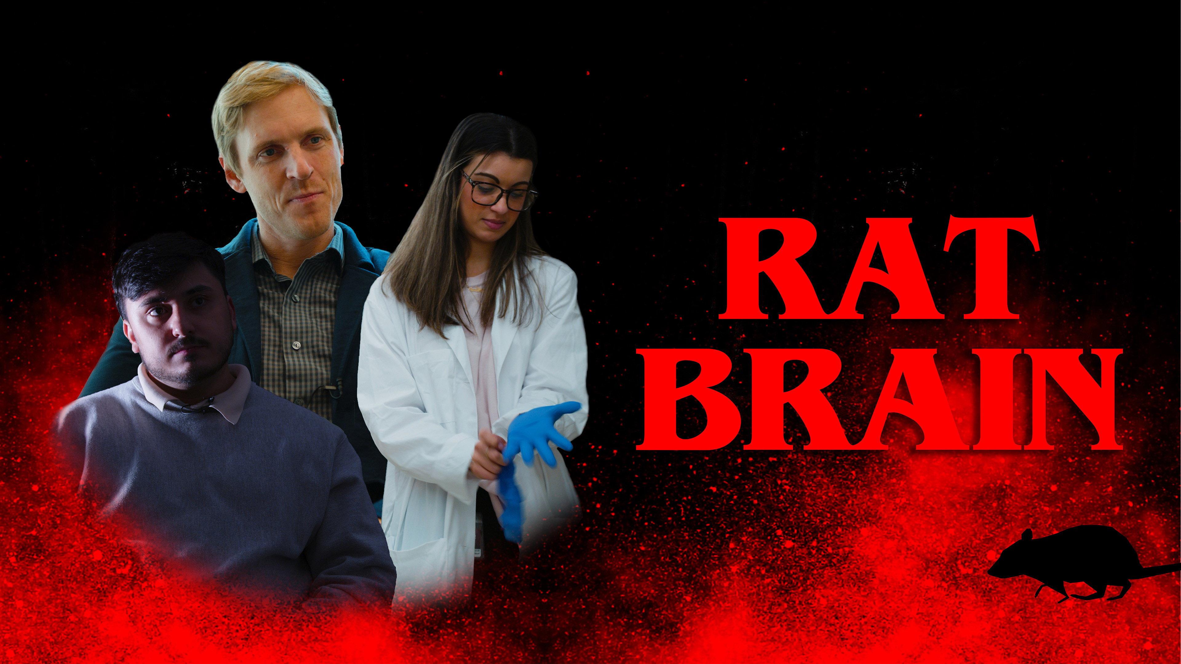 Rat Brain  movie scene
