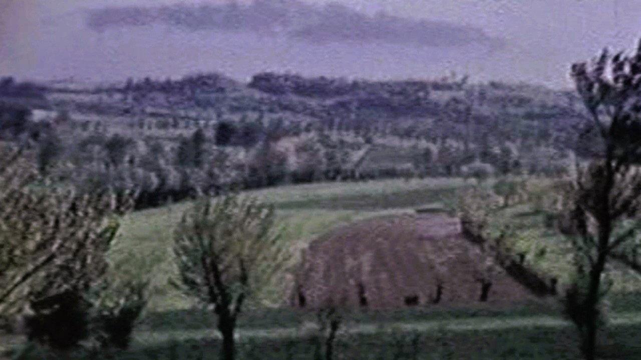 The Seasons 1961 movie scene