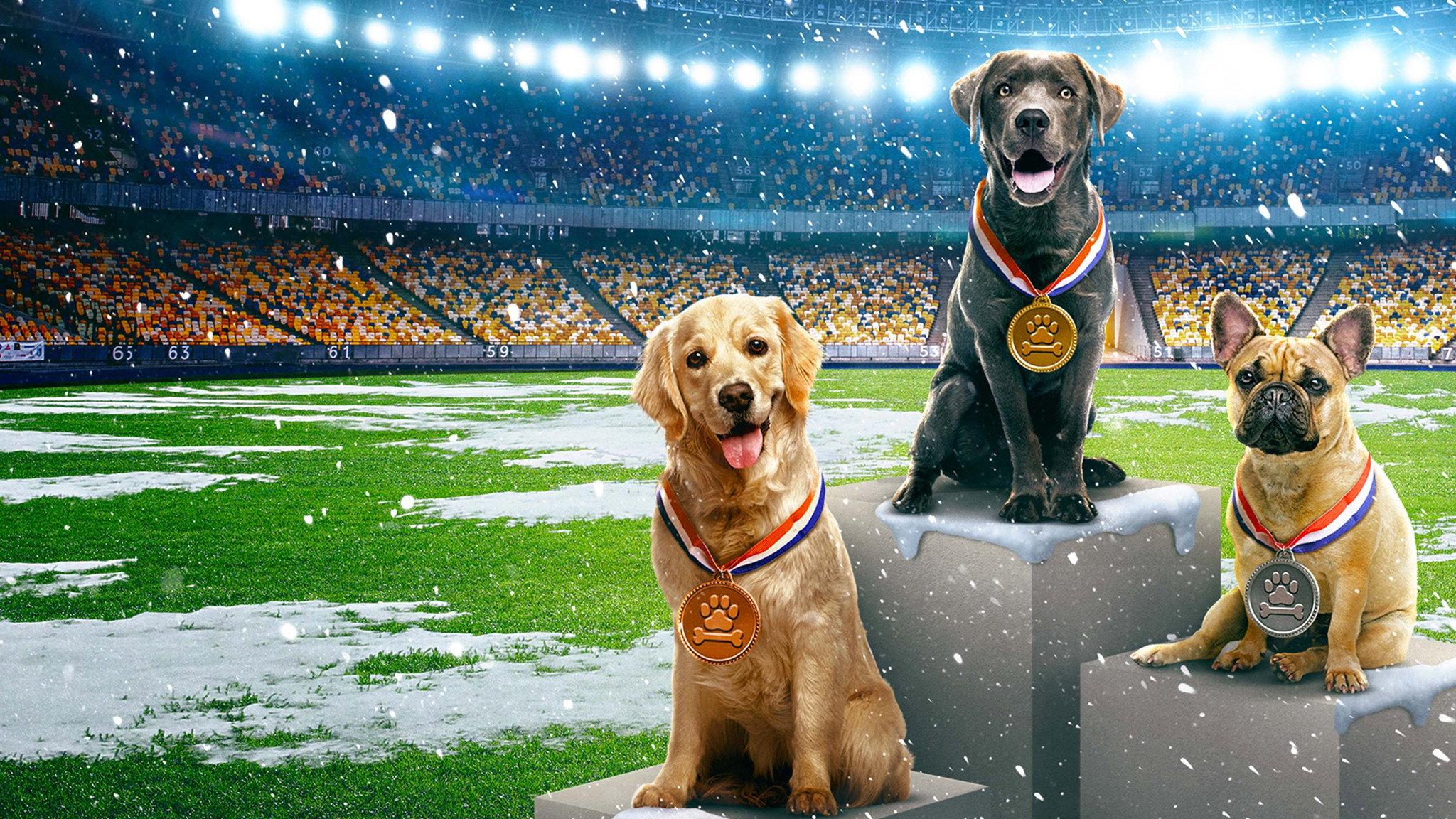 Puppy Bowl Presents: The Winter Games 2022 movie scene
