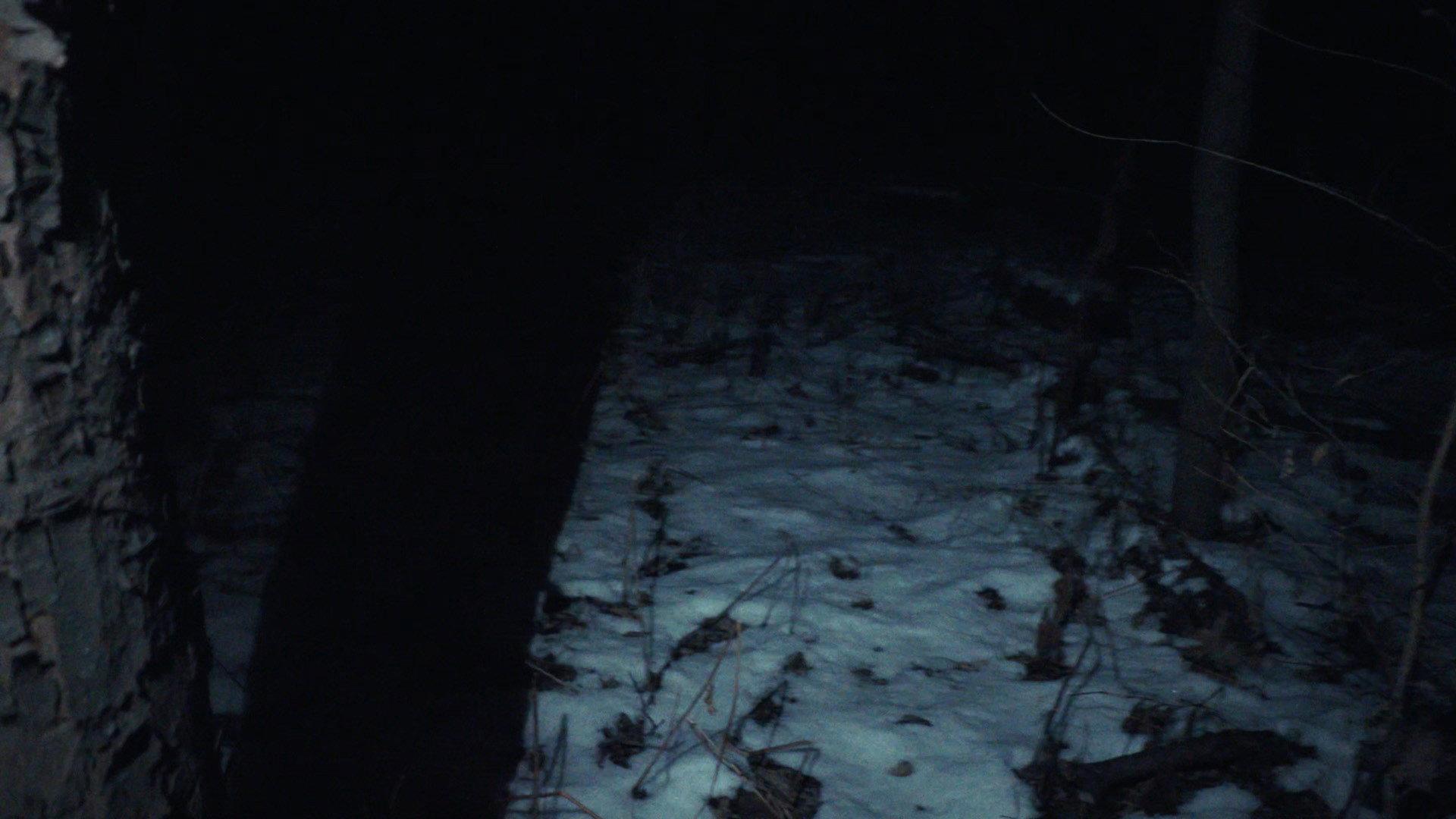 crow.mp4 2026 movie scene