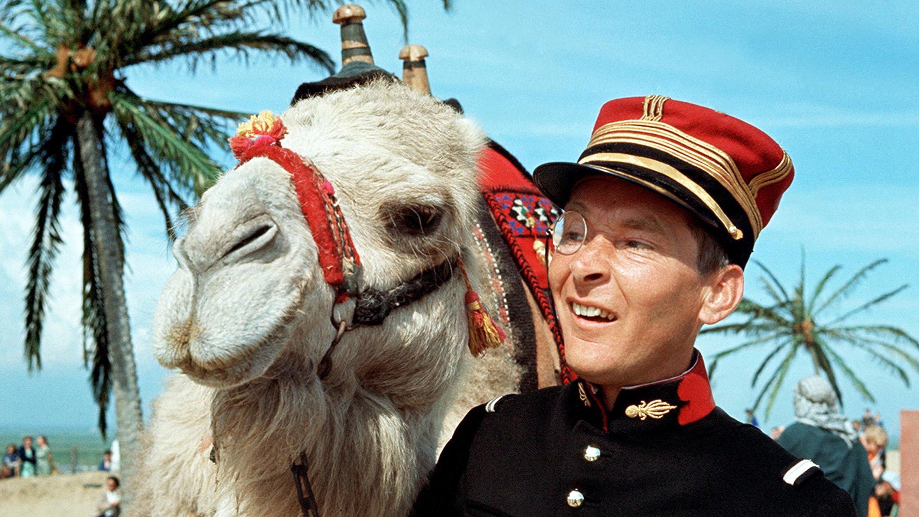 Follow That Camel 1967 movie scene