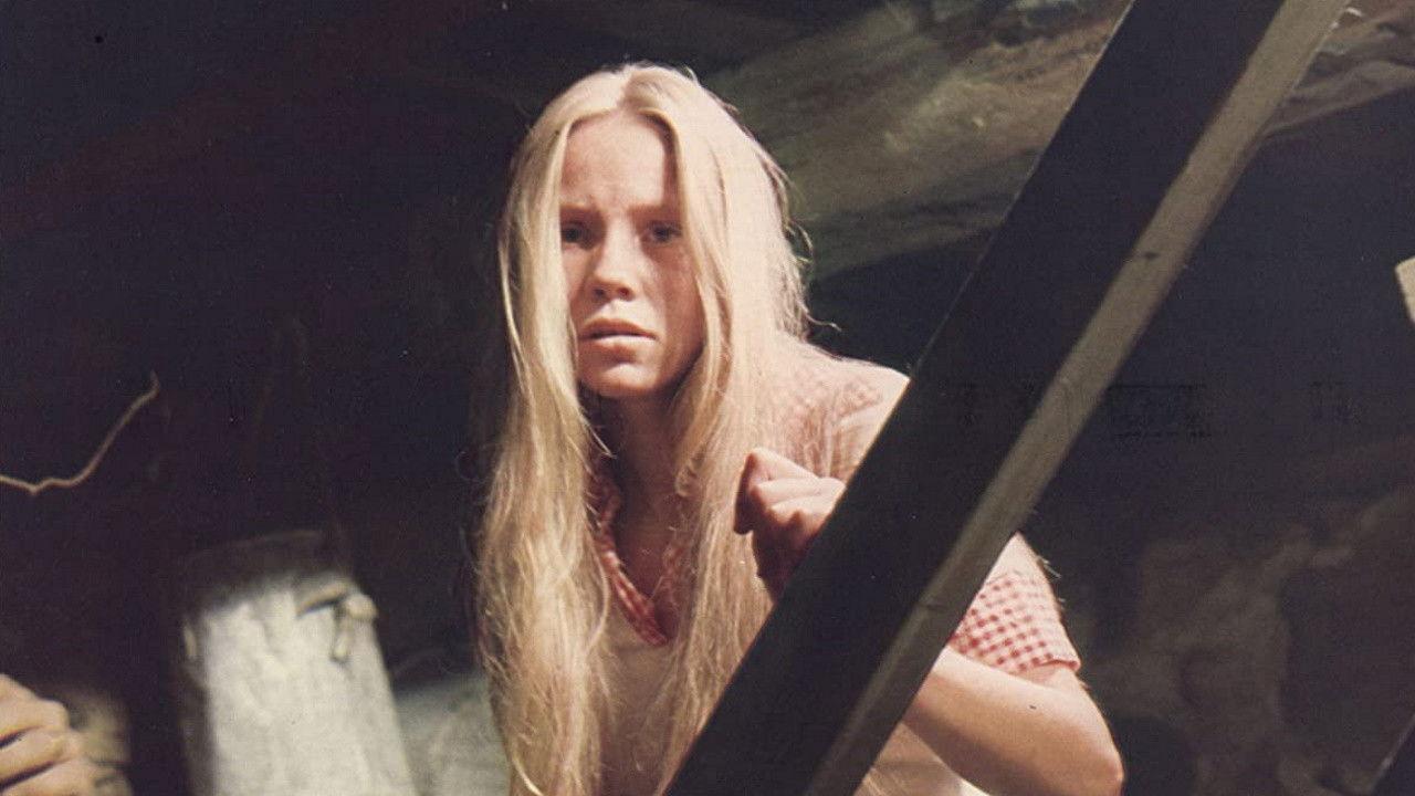 Sunday in the Country 1974 movie scene
